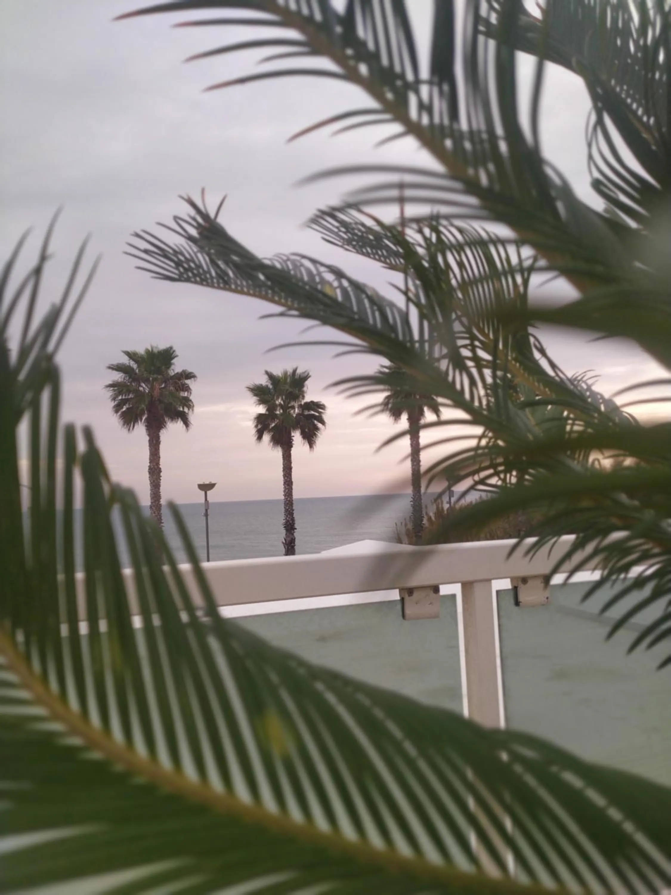 Sea view in Martur Resort