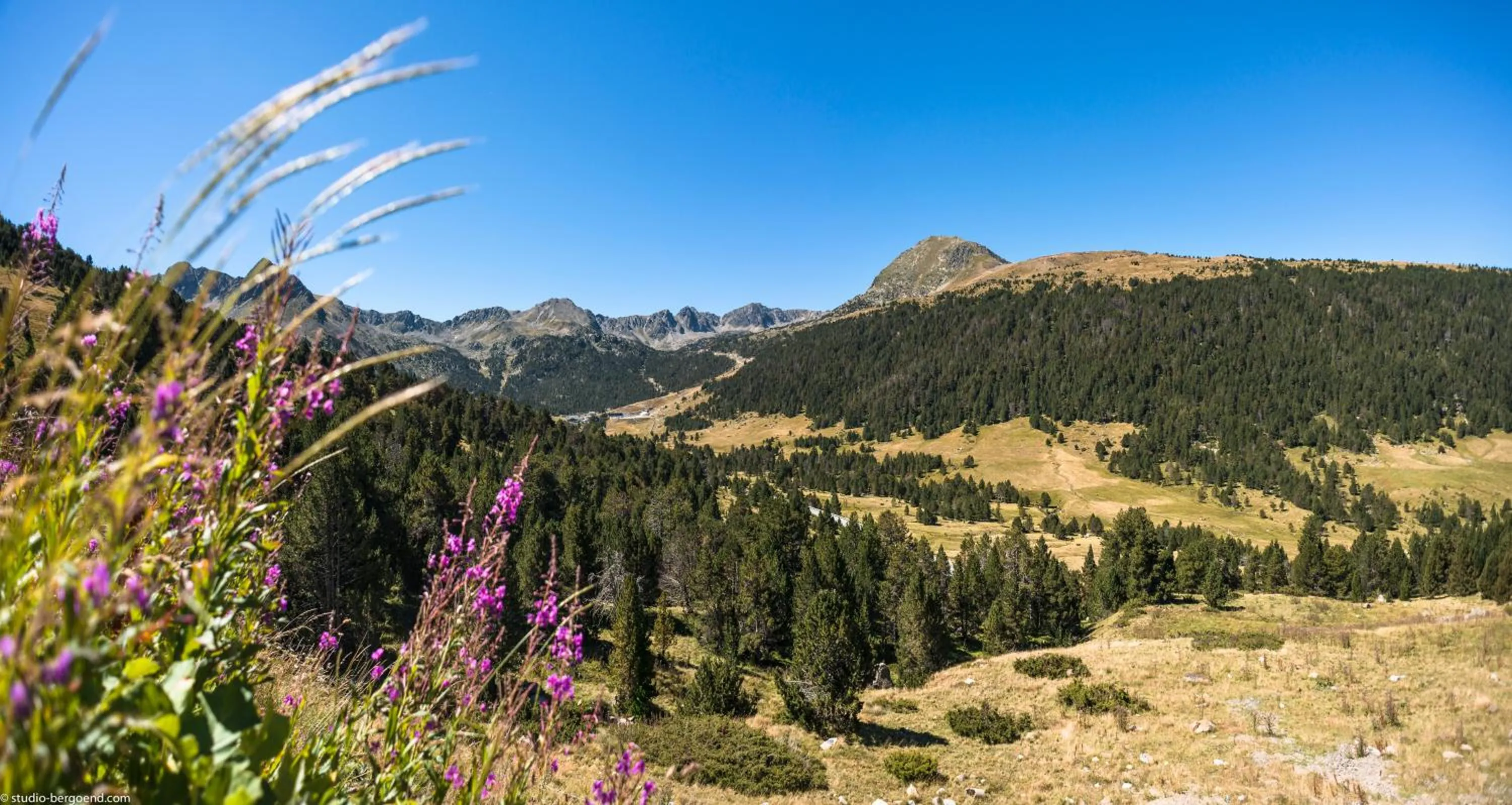 Natural landscape in Pierre & Vacances Andorra Bordes d’Envalira