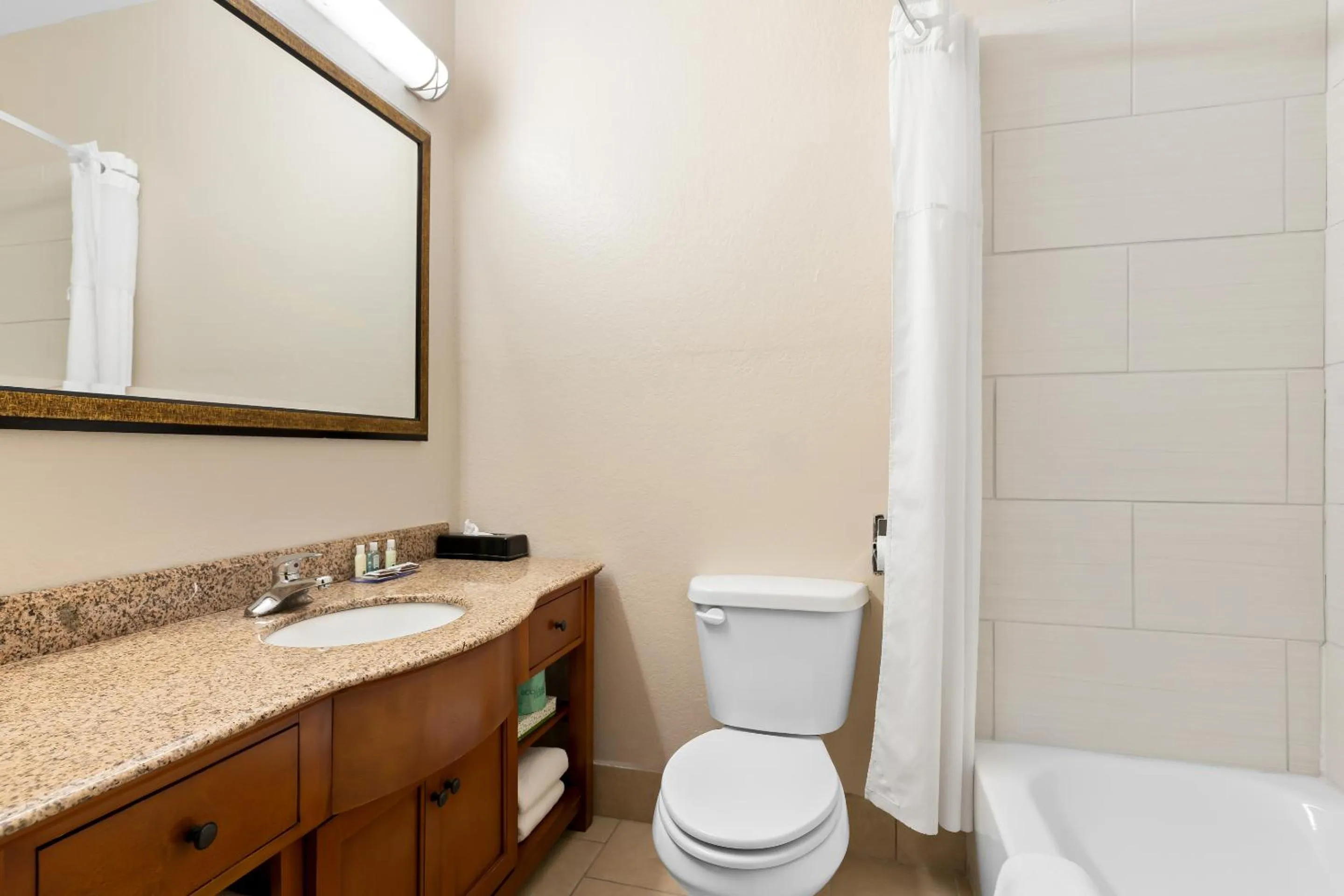 Toilet in Quality Inn & Suites McAlester on Hwy 69