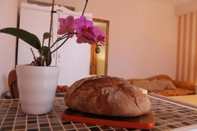 Food and drinks in Villa Bougenvilia Tomas