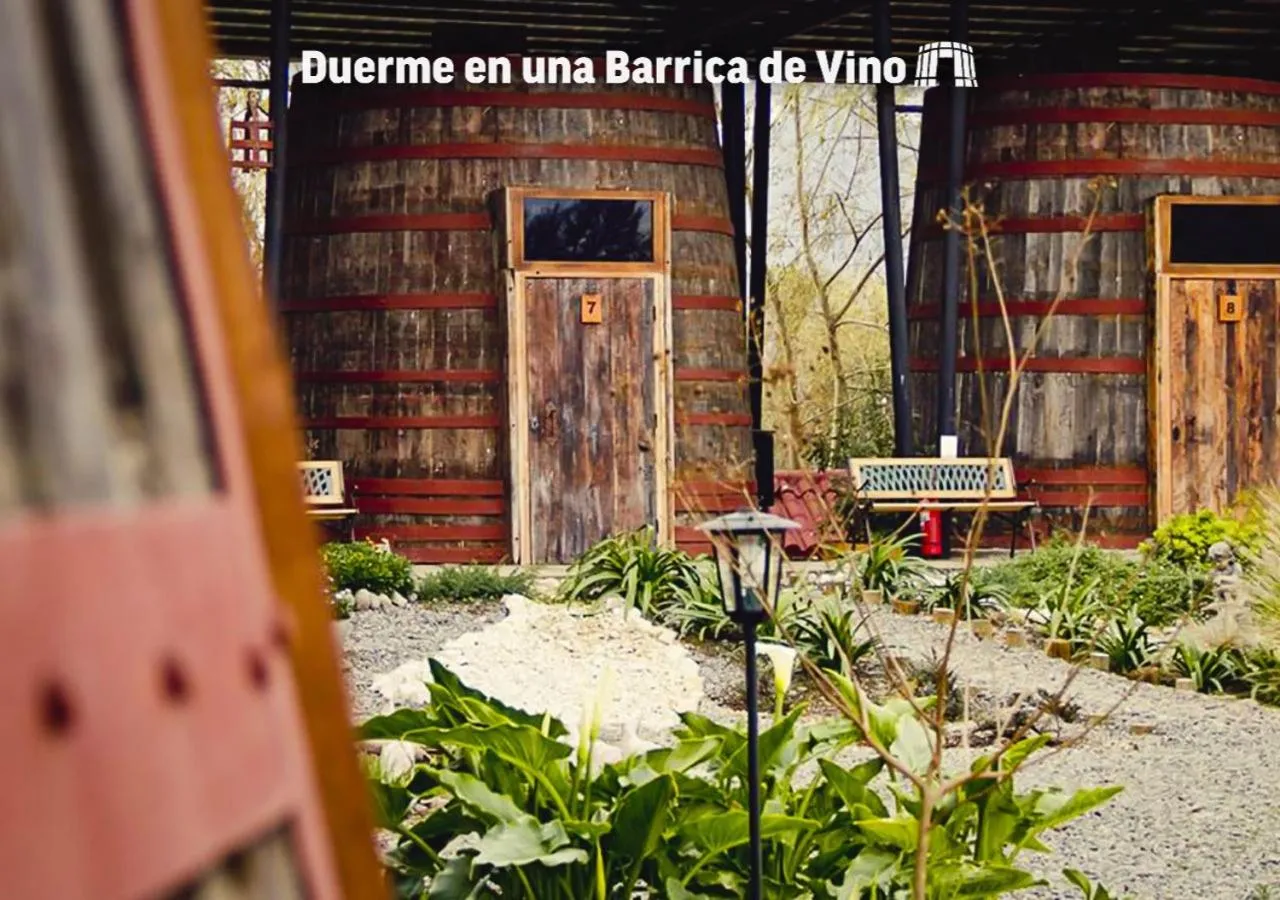 Garden view in Cava Colchagua Hotel Boutique