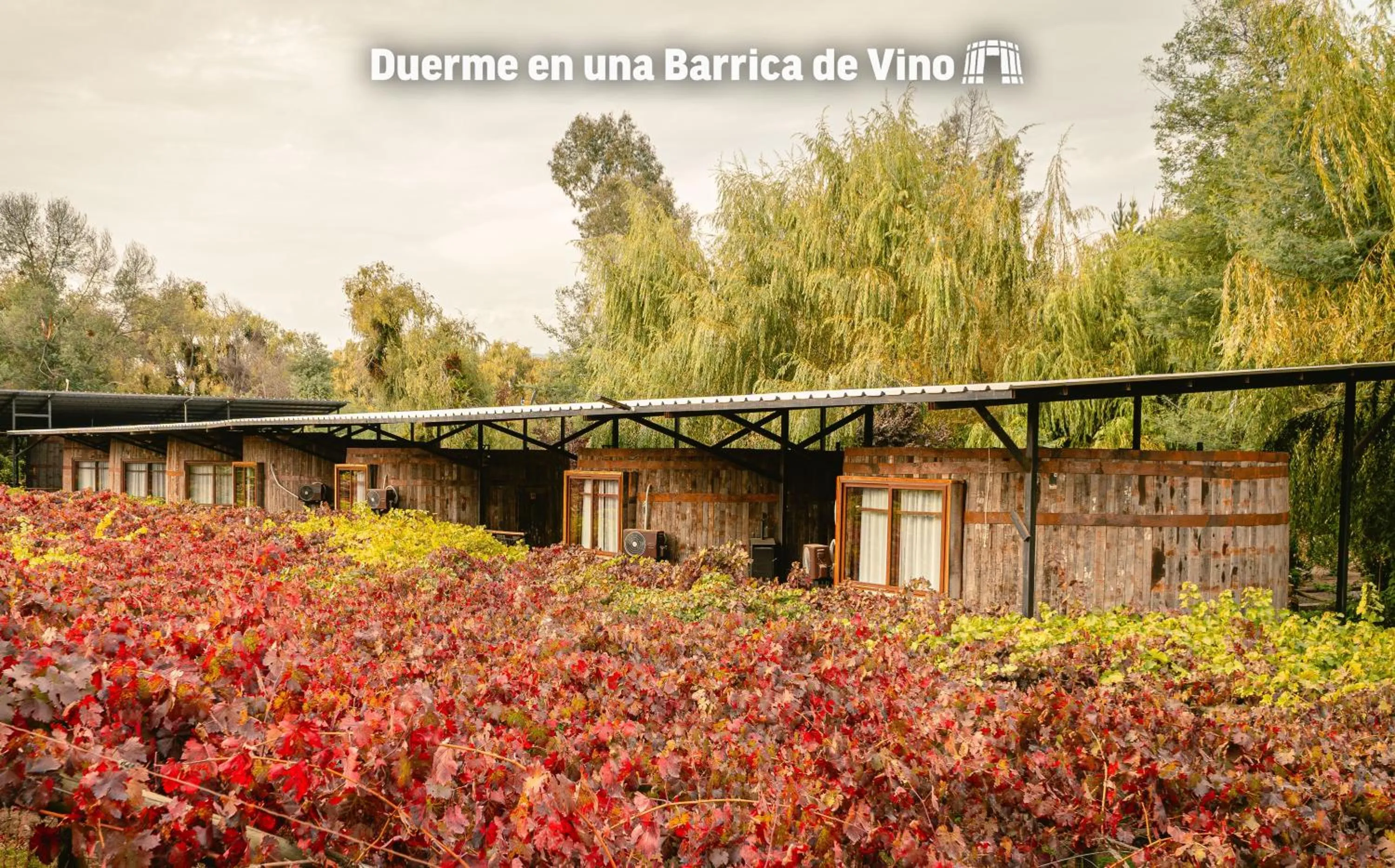 Natural landscape in Cava Colchagua Hotel Boutique