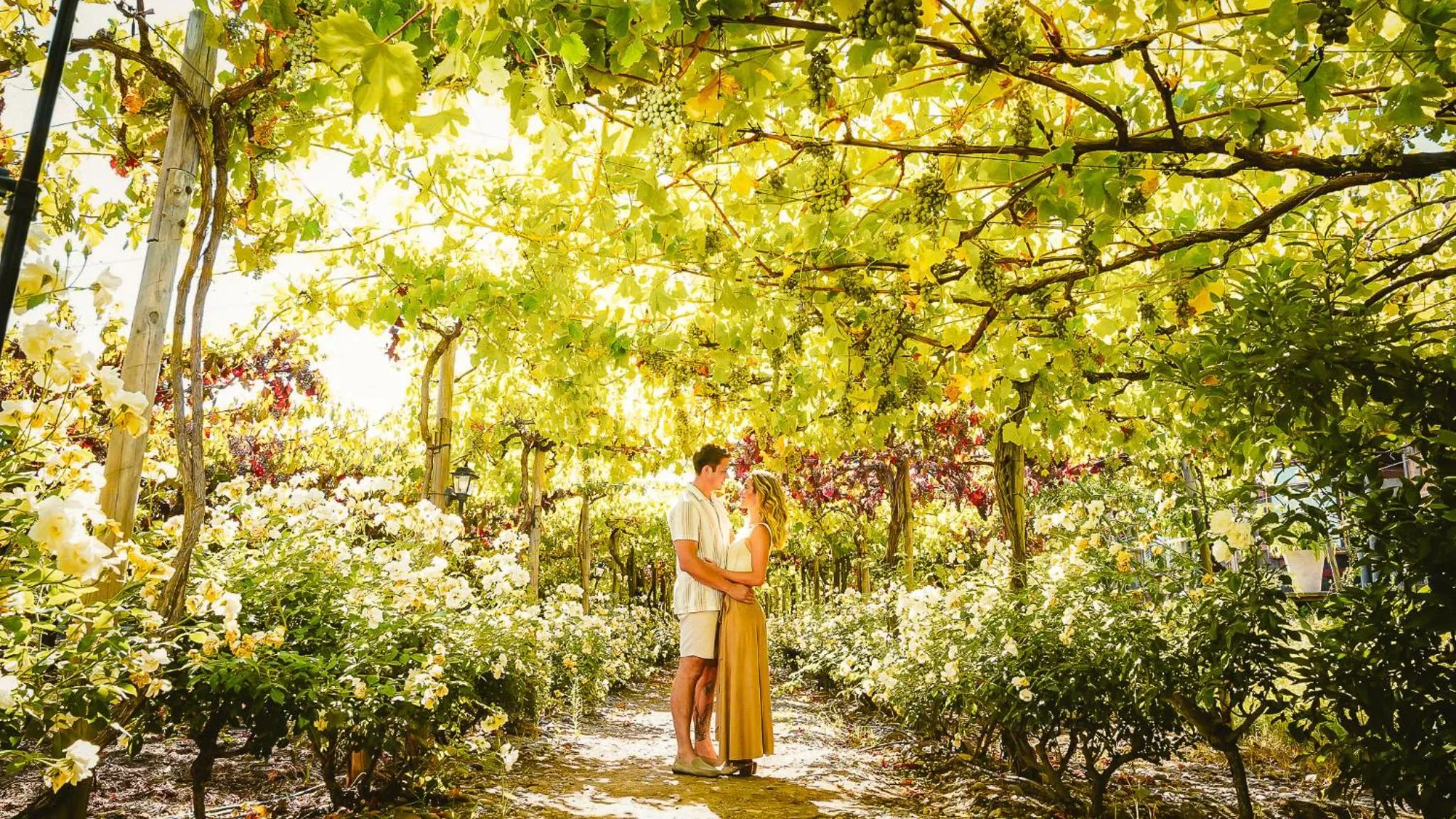 Natural landscape in Cava Colchagua Hotel Boutique