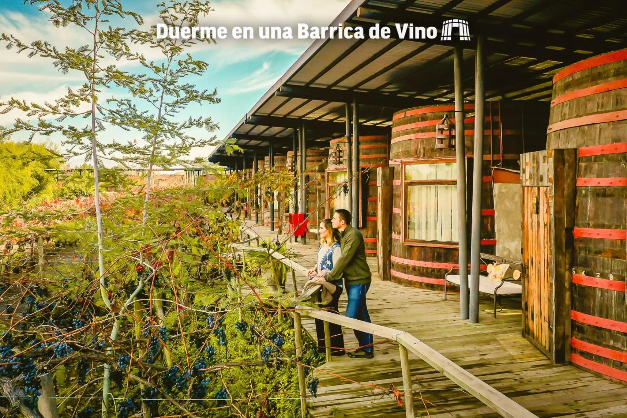 Garden view in Cava Colchagua Hotel Boutique