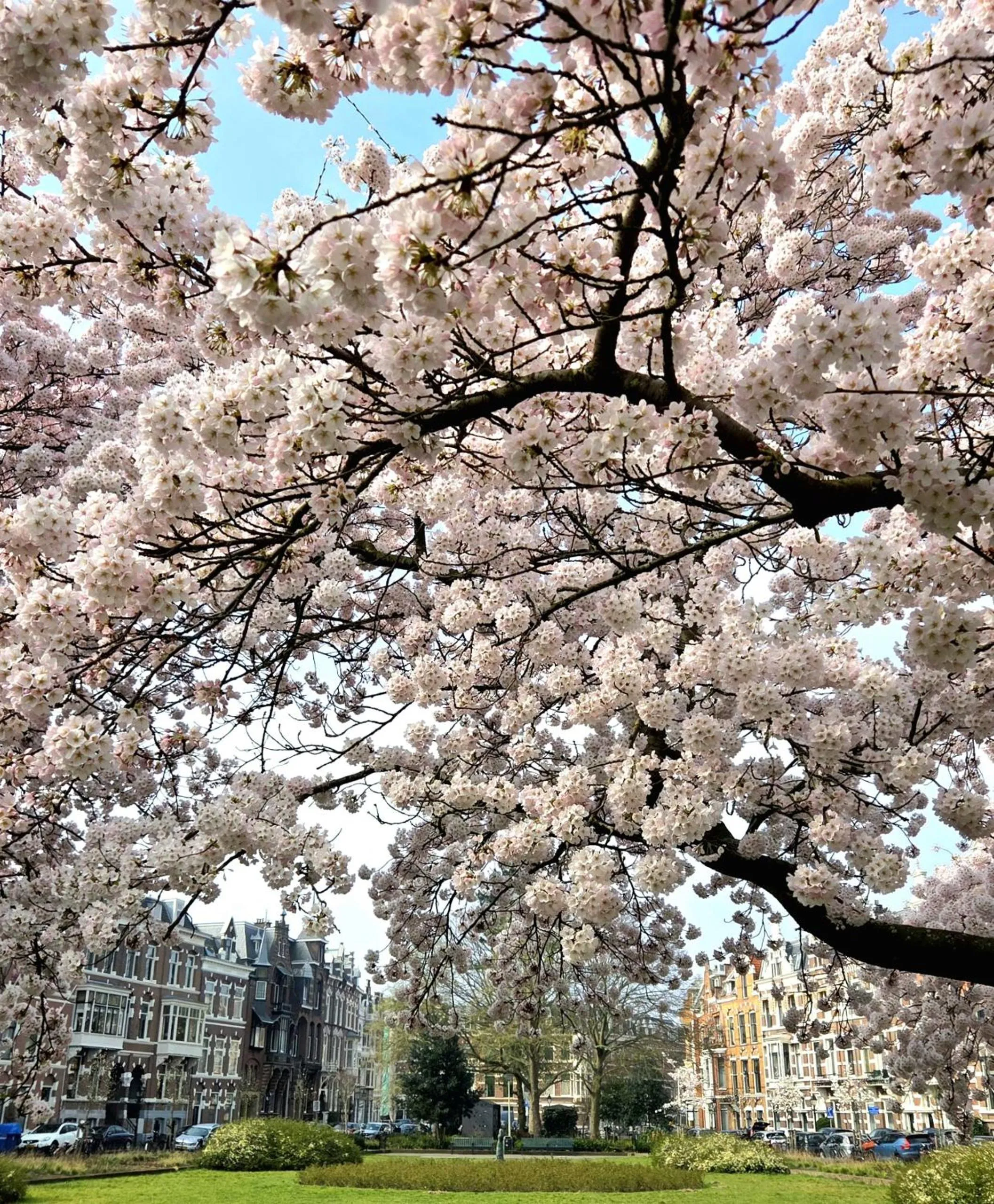 Residenz Stadslogement