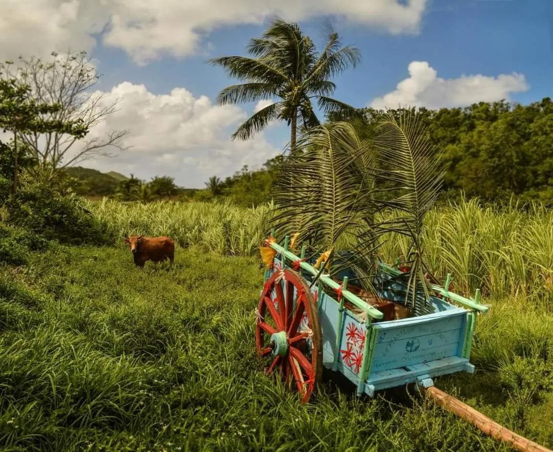 Spring in KANALU BEACH APPATEMENT