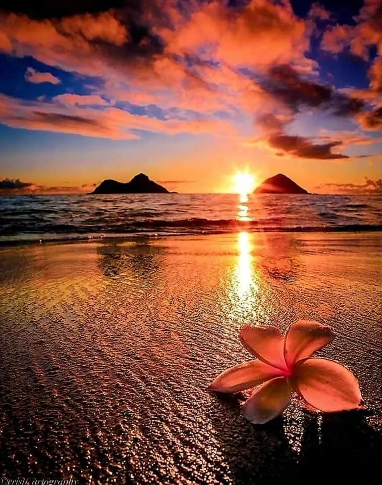 KANALU BEACH APPATEMENT