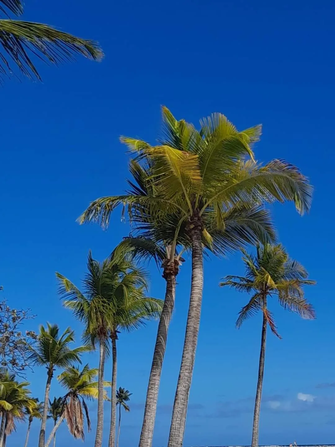KANALU BEACH APPATEMENT