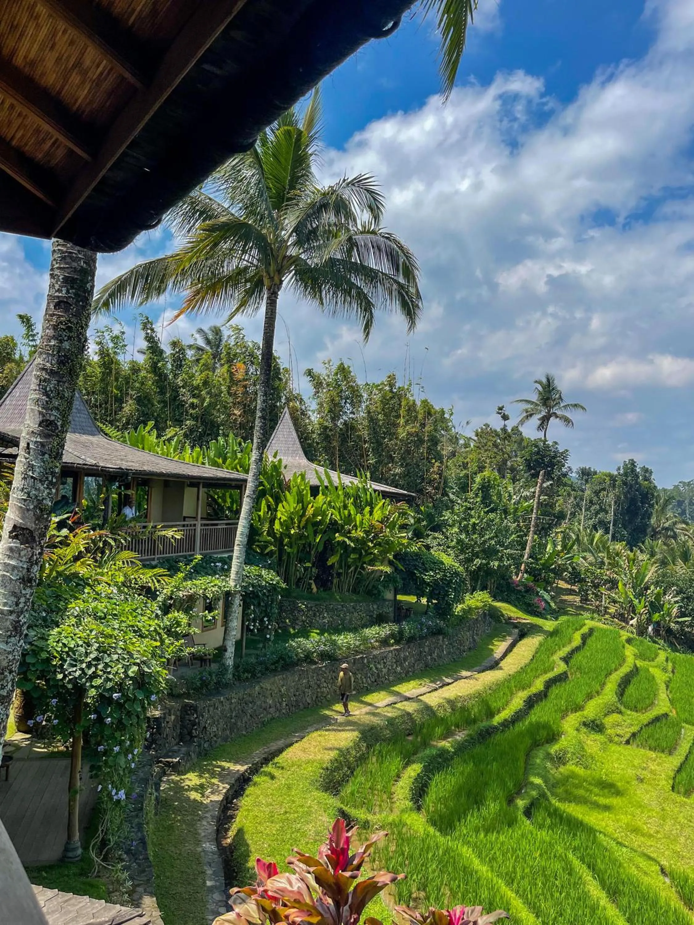 Garden view in Puri Dajuma Terrace Eco Lodge & Spa