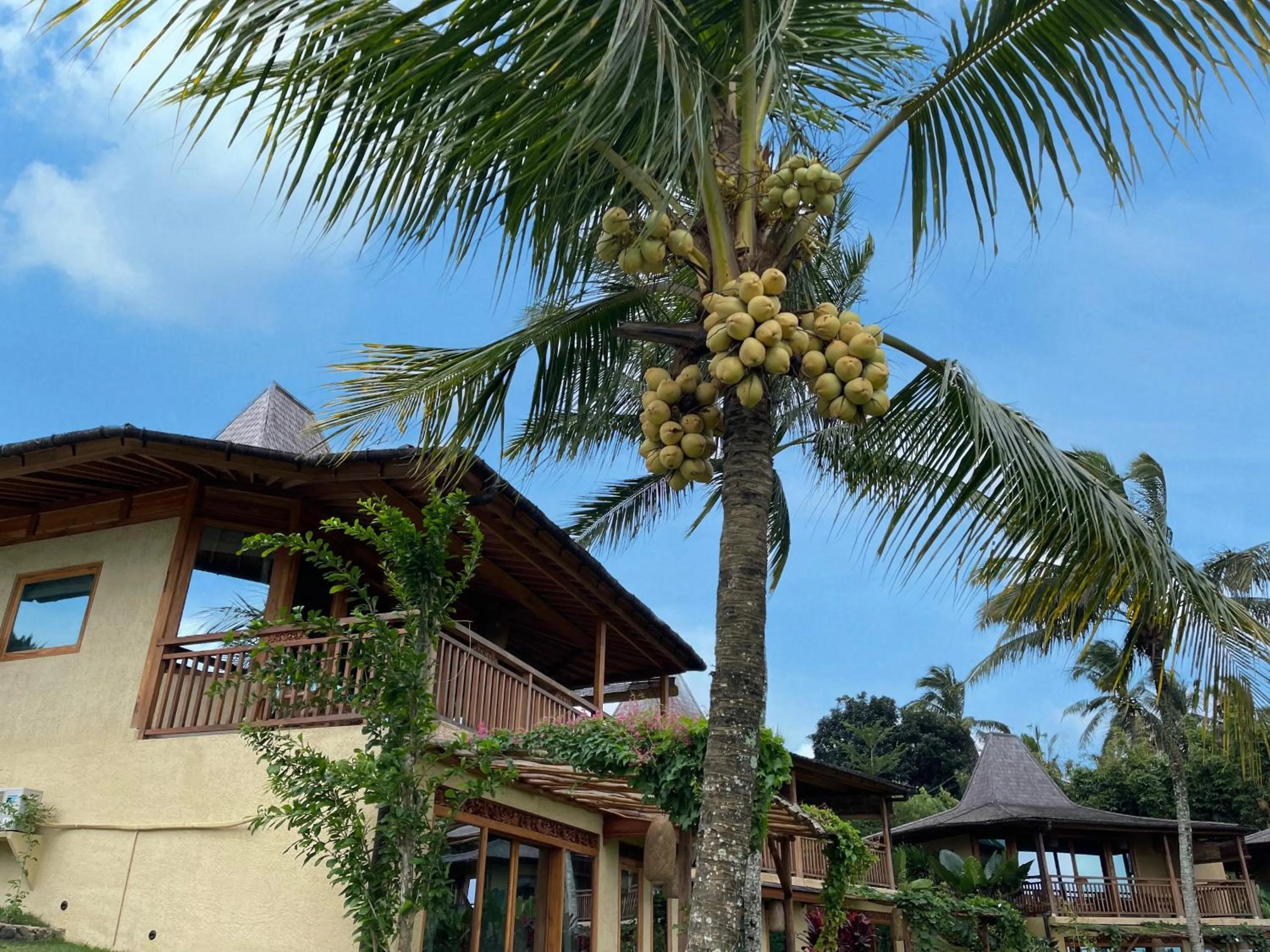 Property building in Puri Dajuma Terrace Eco Lodge & Spa