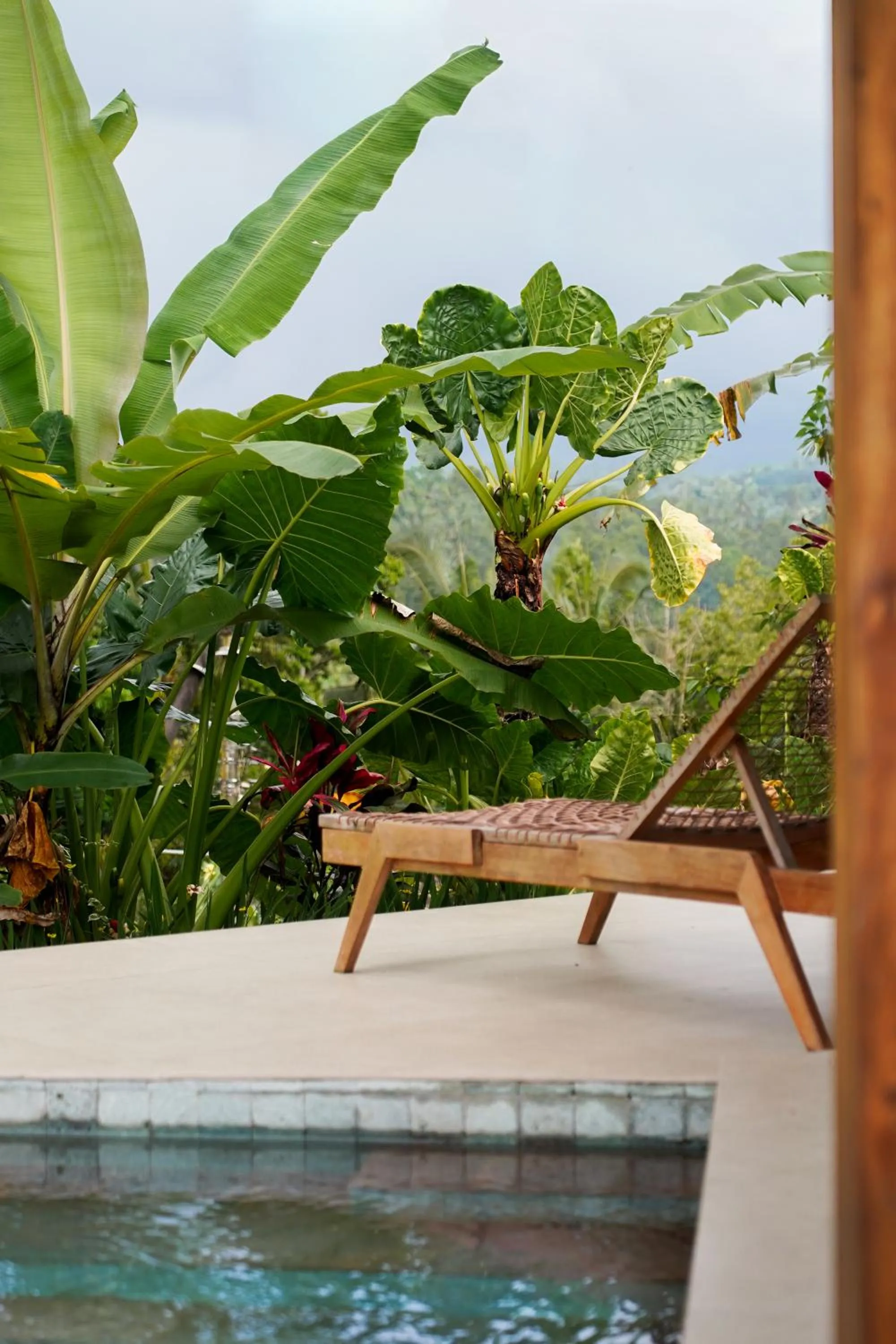 Garden view in Puri Dajuma Terrace Eco Lodge & Spa