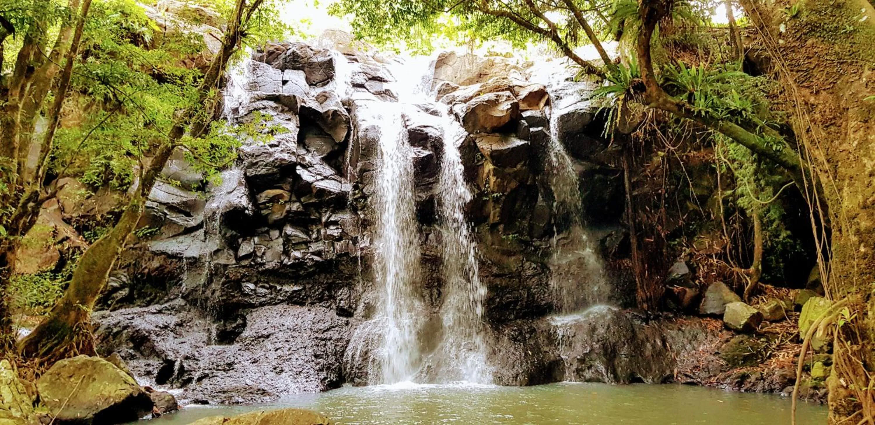 Natural landscape in Puri Dajuma Terrace Eco Lodge & Spa