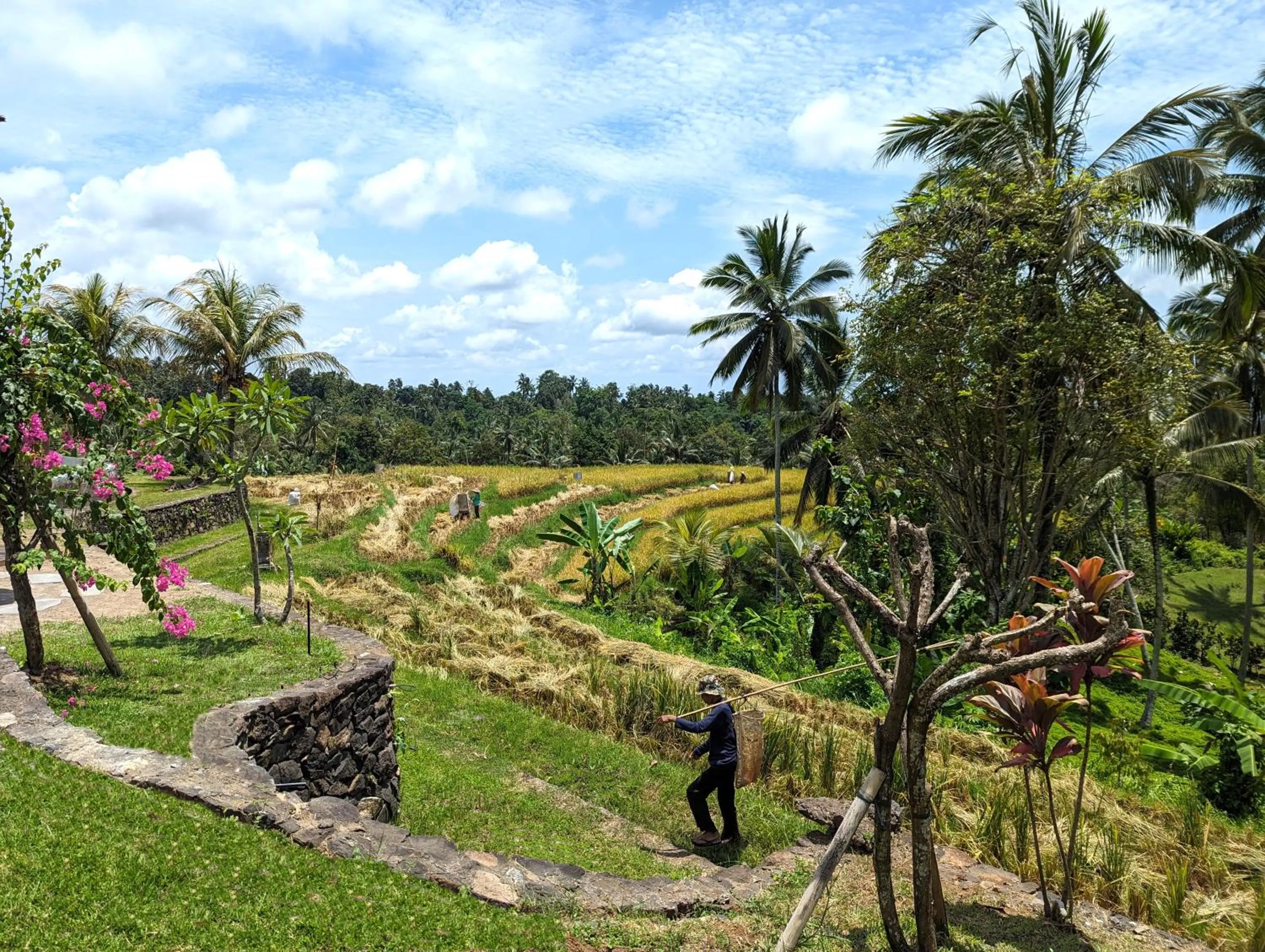 Natural landscape in Puri Dajuma Terrace Eco Lodge & Spa