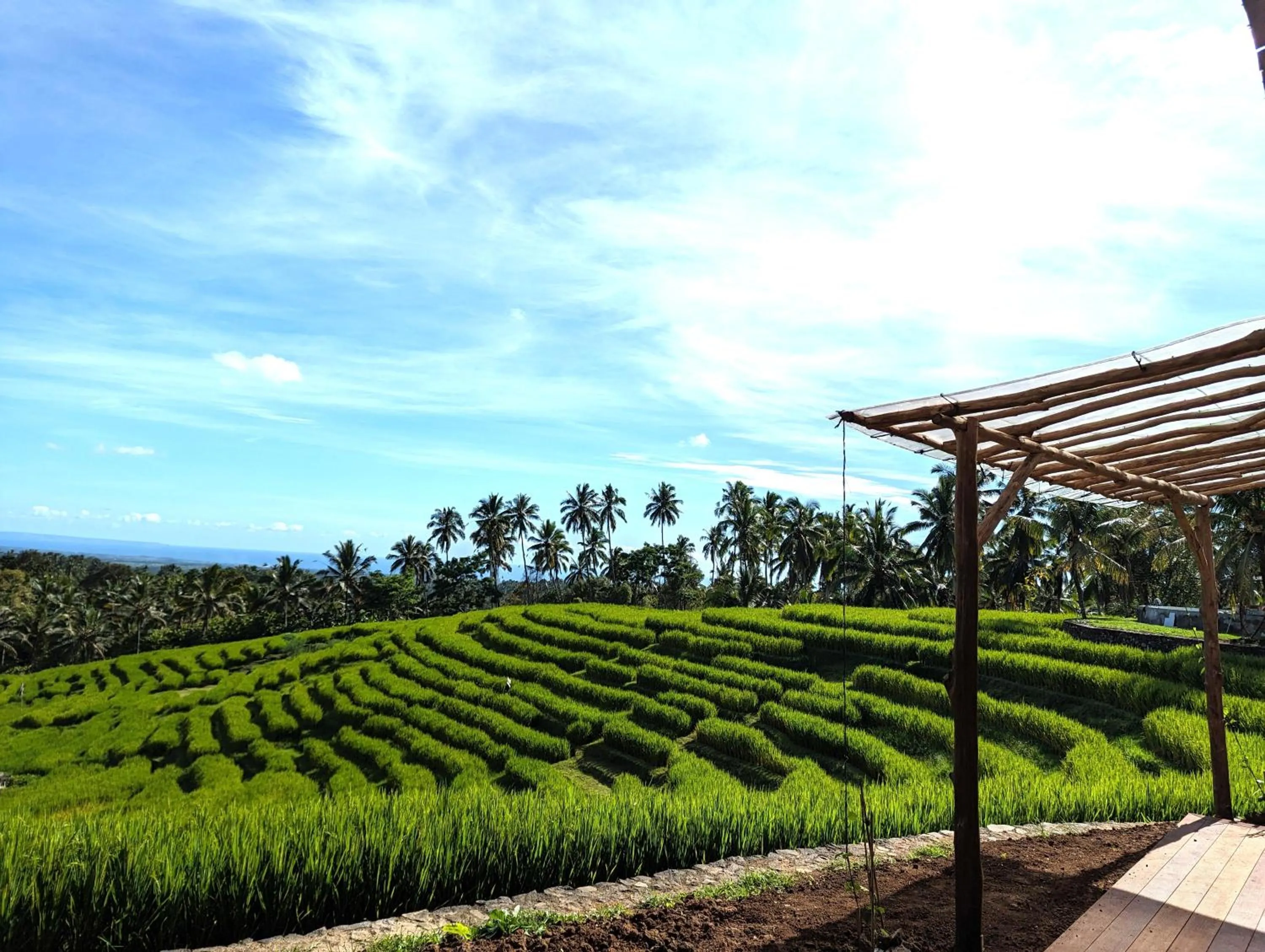 Day in Puri Dajuma Terrace Eco Lodge & Spa