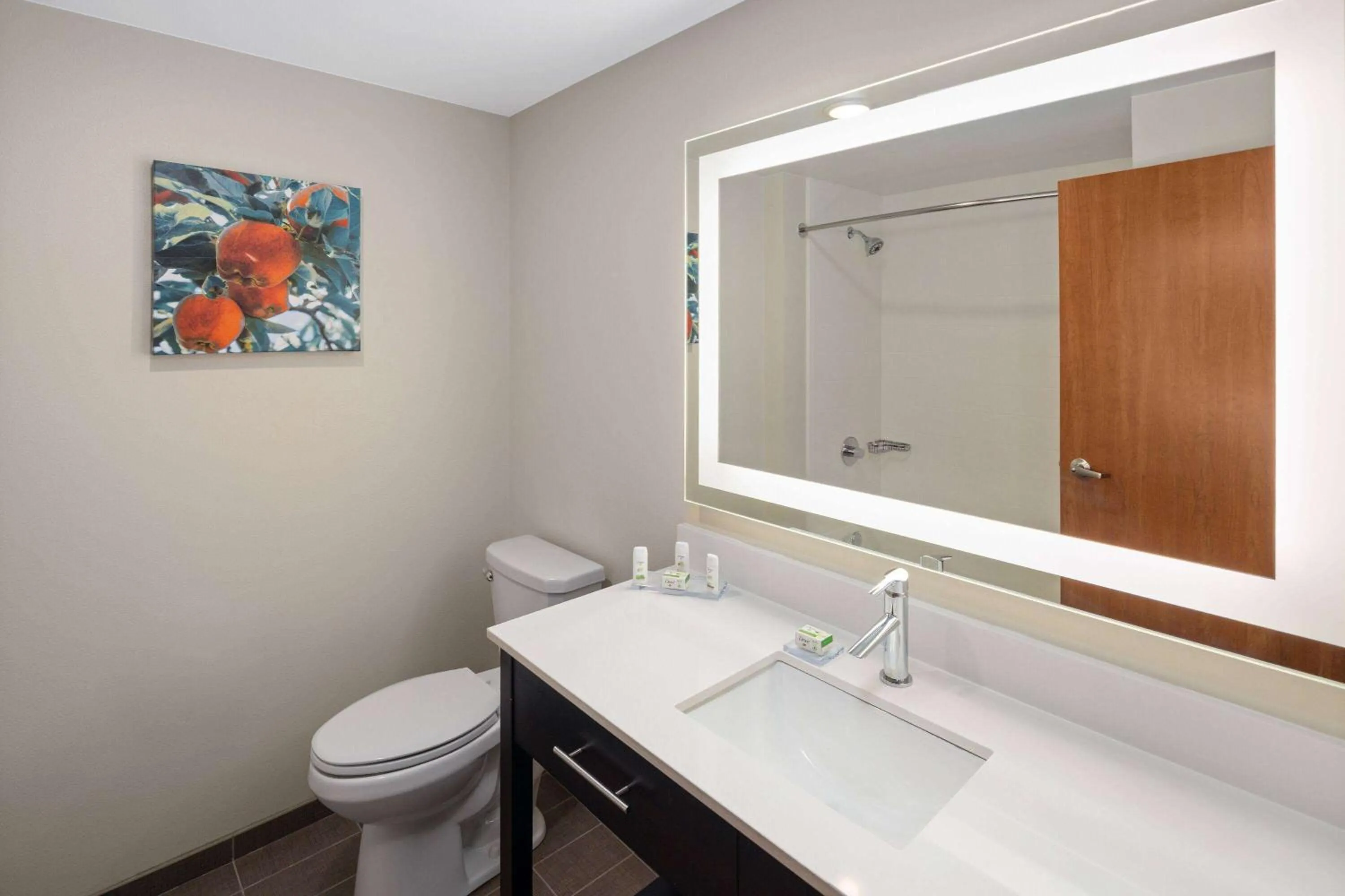 Bathroom in La Quinta Inn & Suites by Wyndham Wenatchee