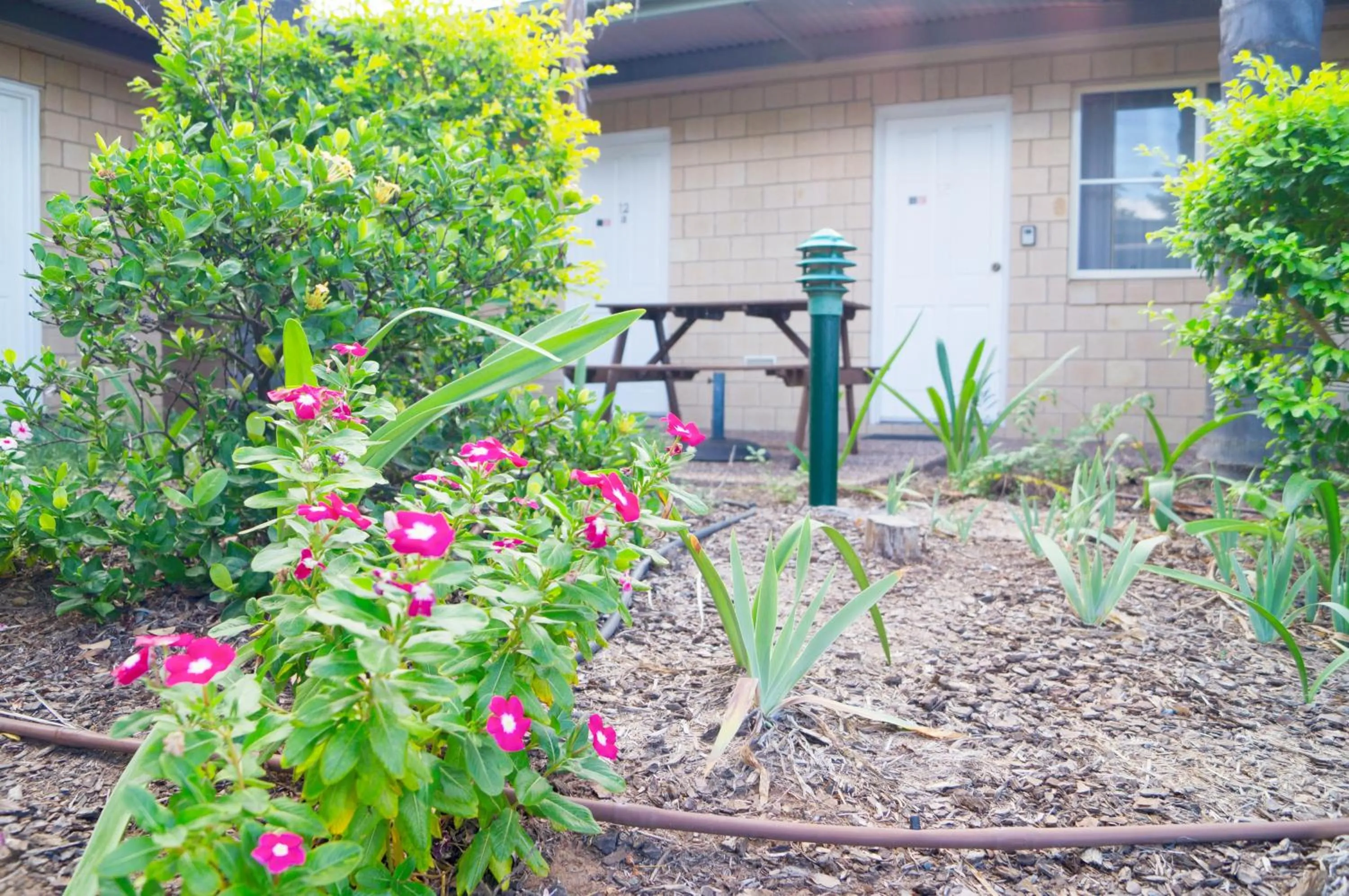 Garden in Jacaranda Country Motel