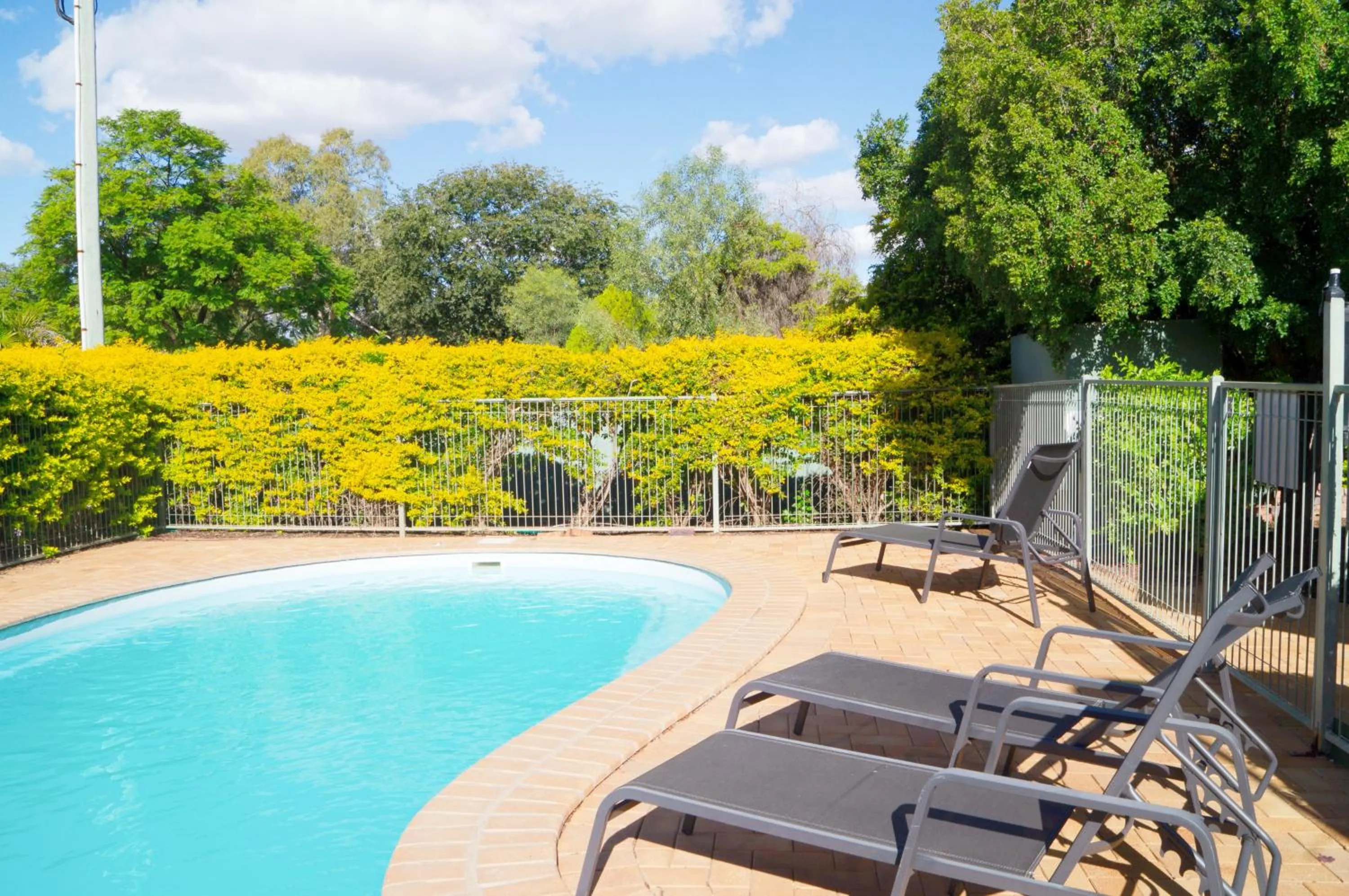 Day in Jacaranda Country Motel