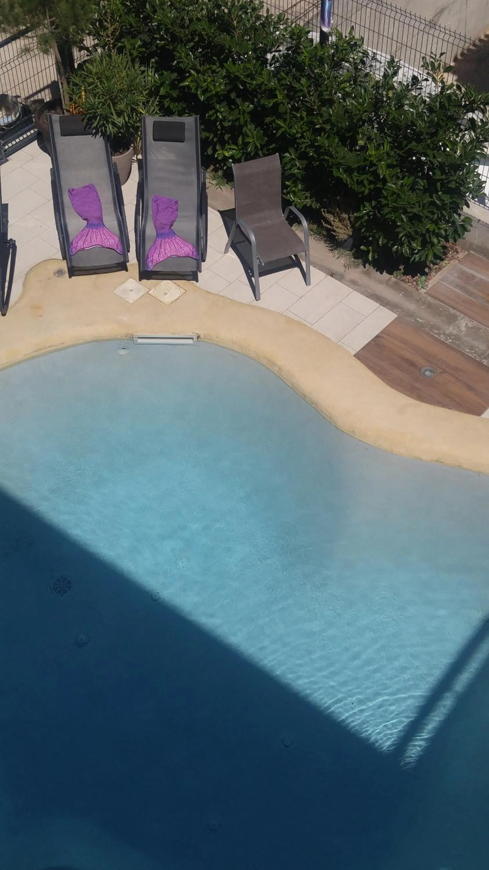 Swimming pool in Basic Mansion Mandalina