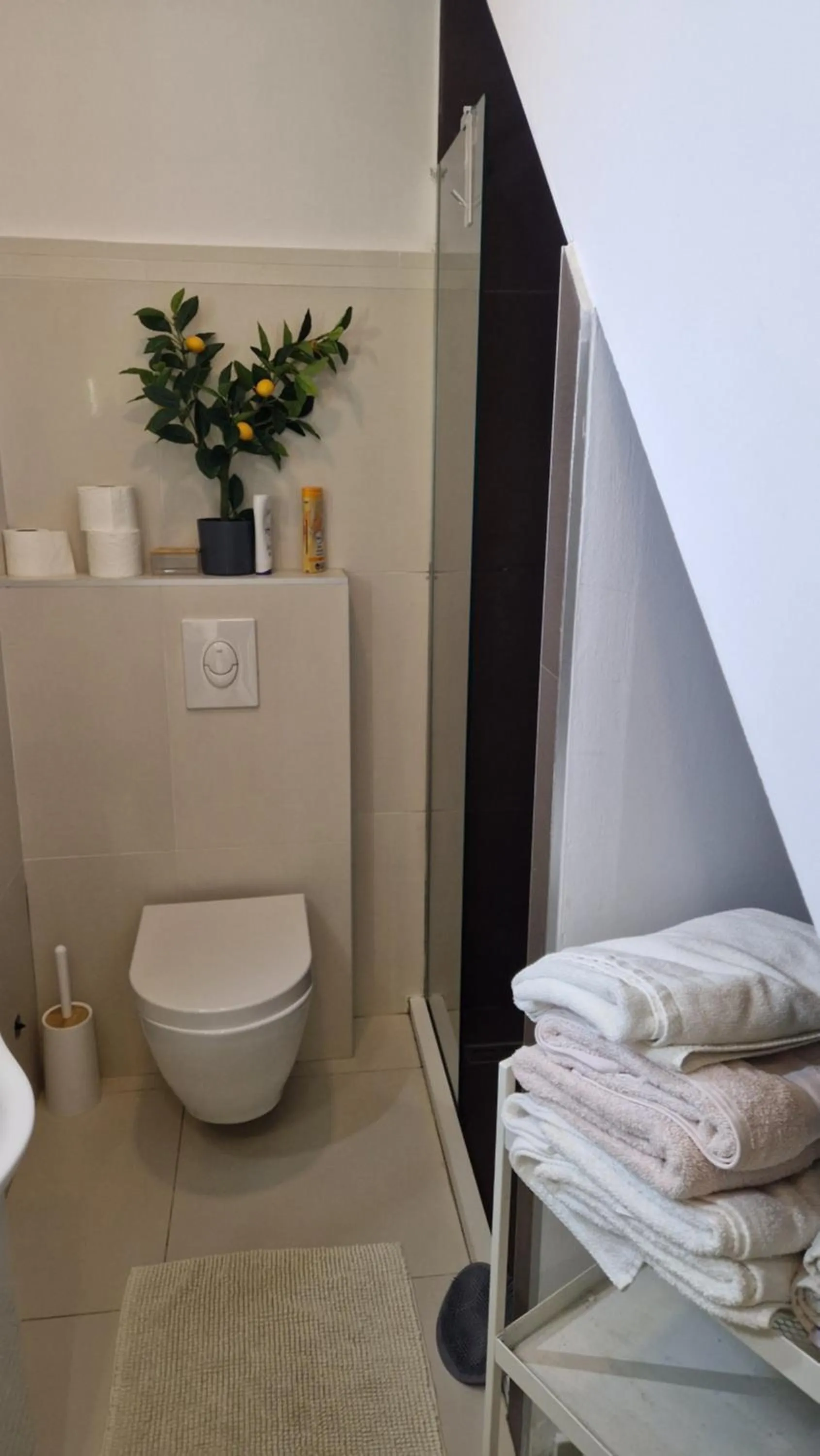 Bathroom in Basic Mansion Mandalina