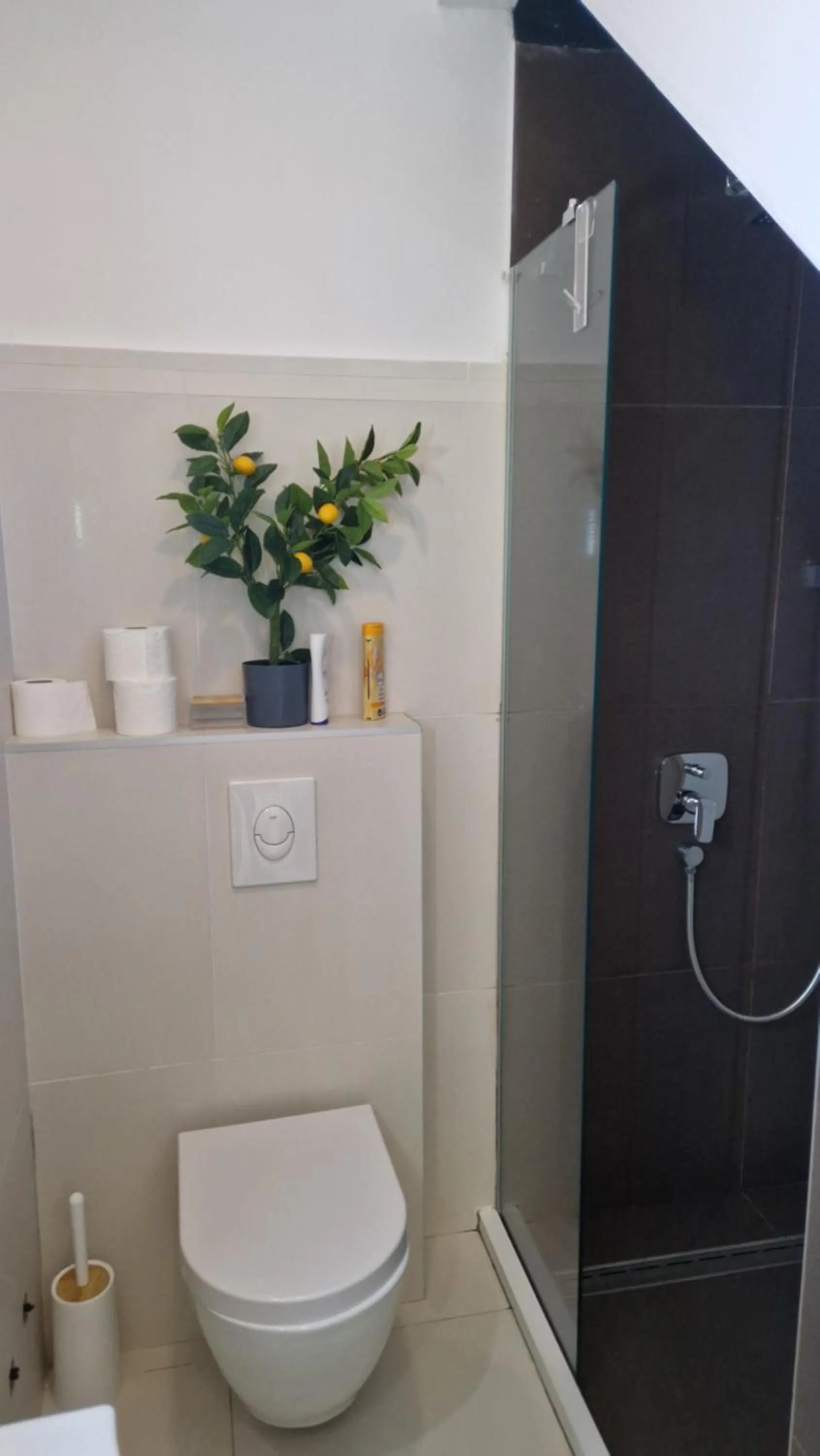 Shower in Basic Mansion Mandalina