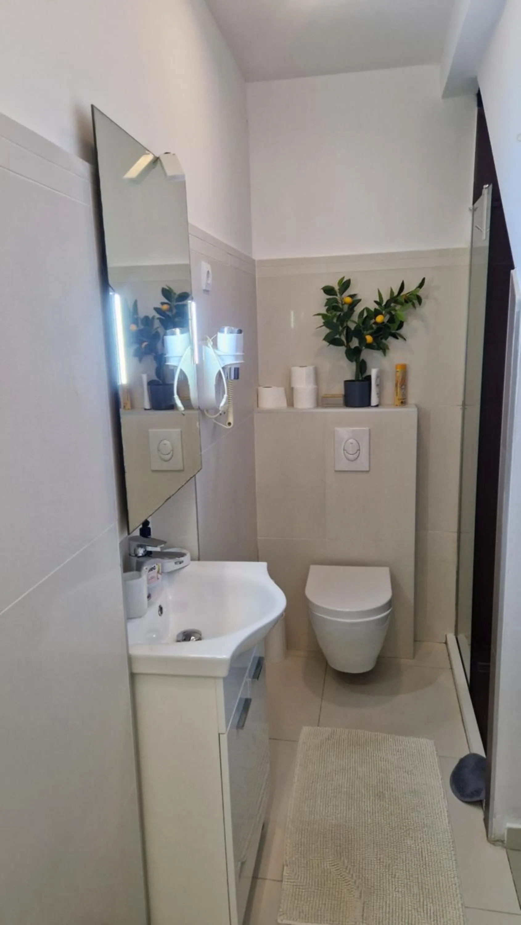 Shower in Basic Mansion Mandalina