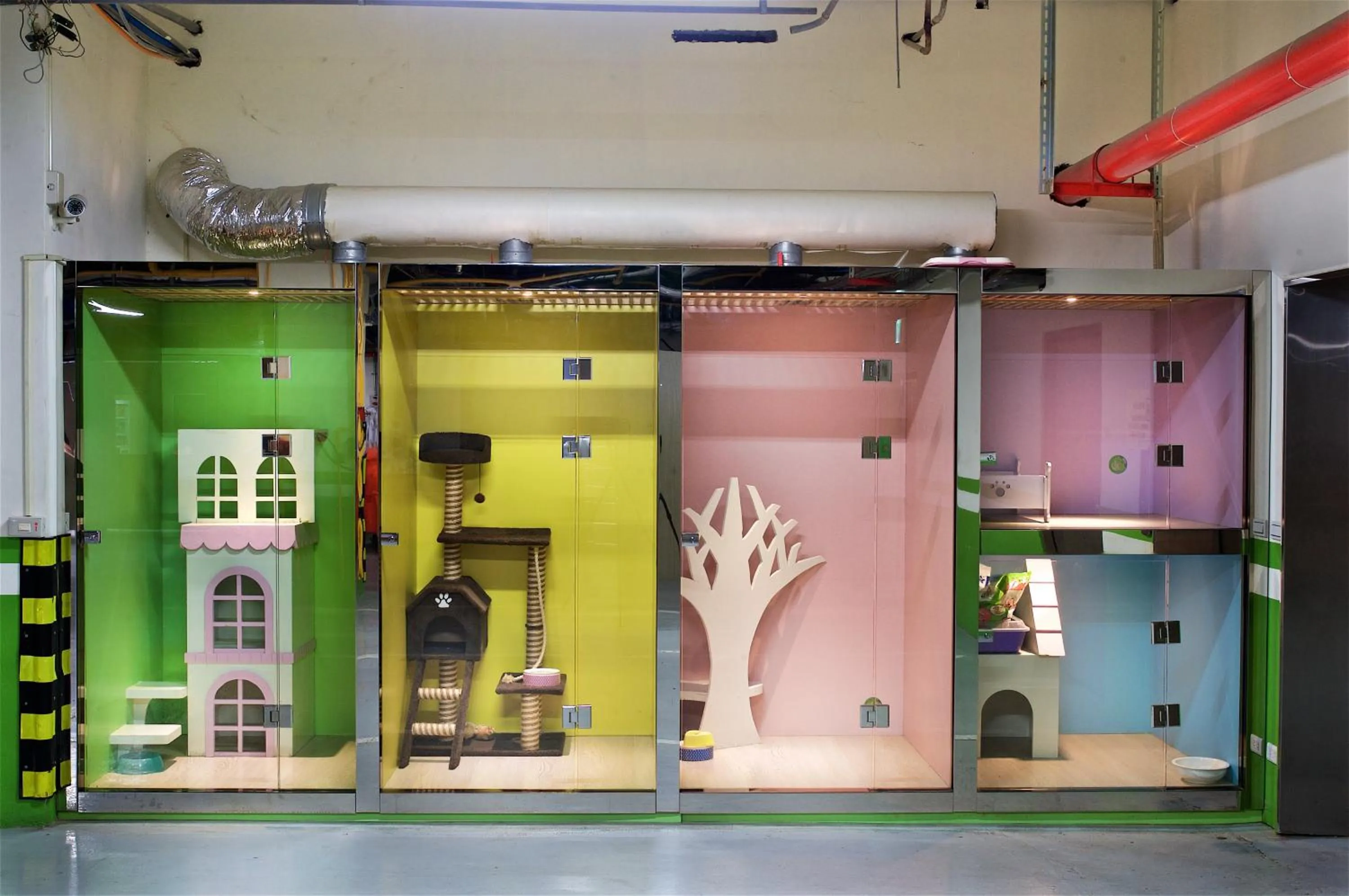 Animals in Chihpen Century Hotel