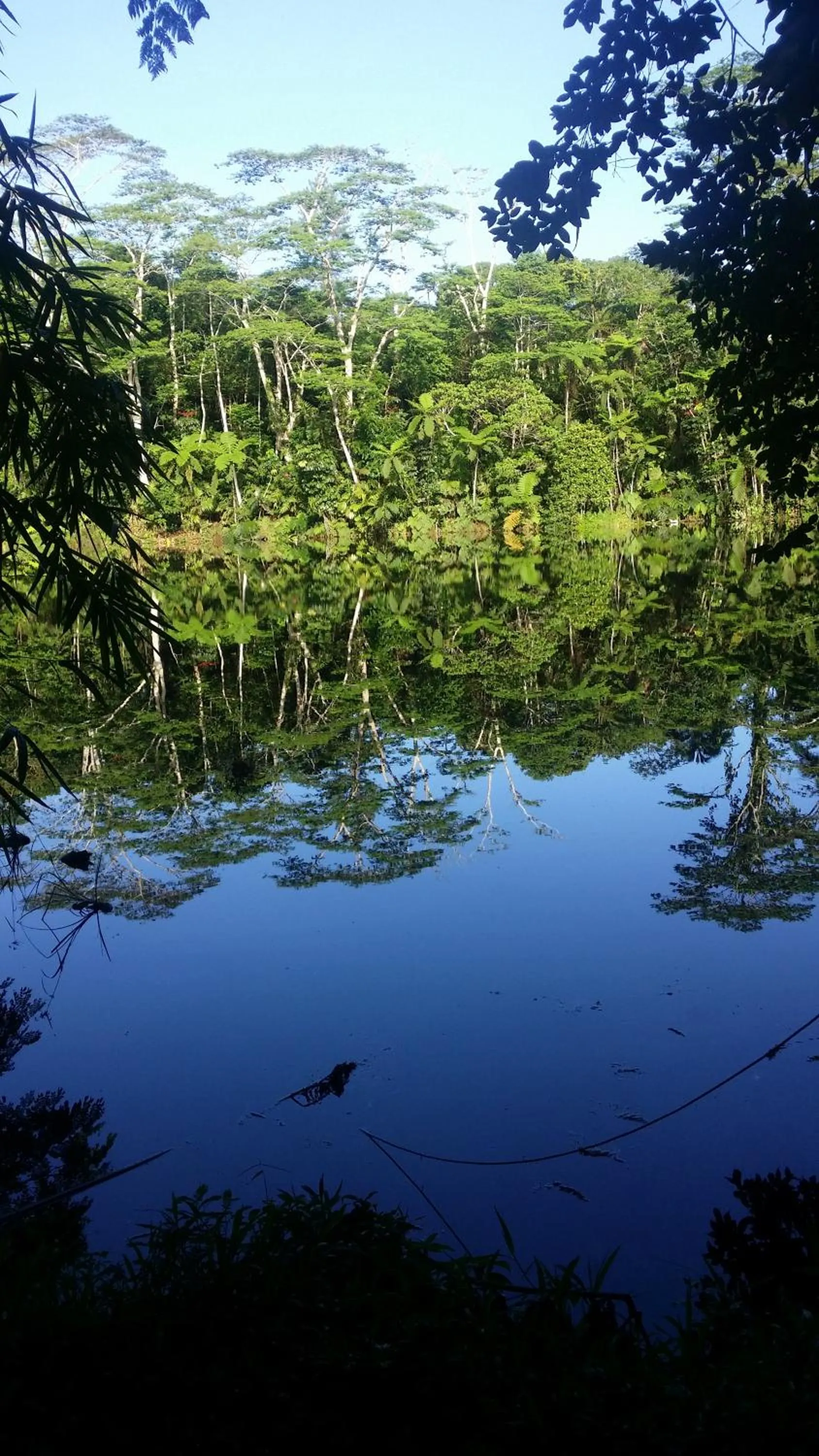 Lake view in Rainforest Eco Lodge