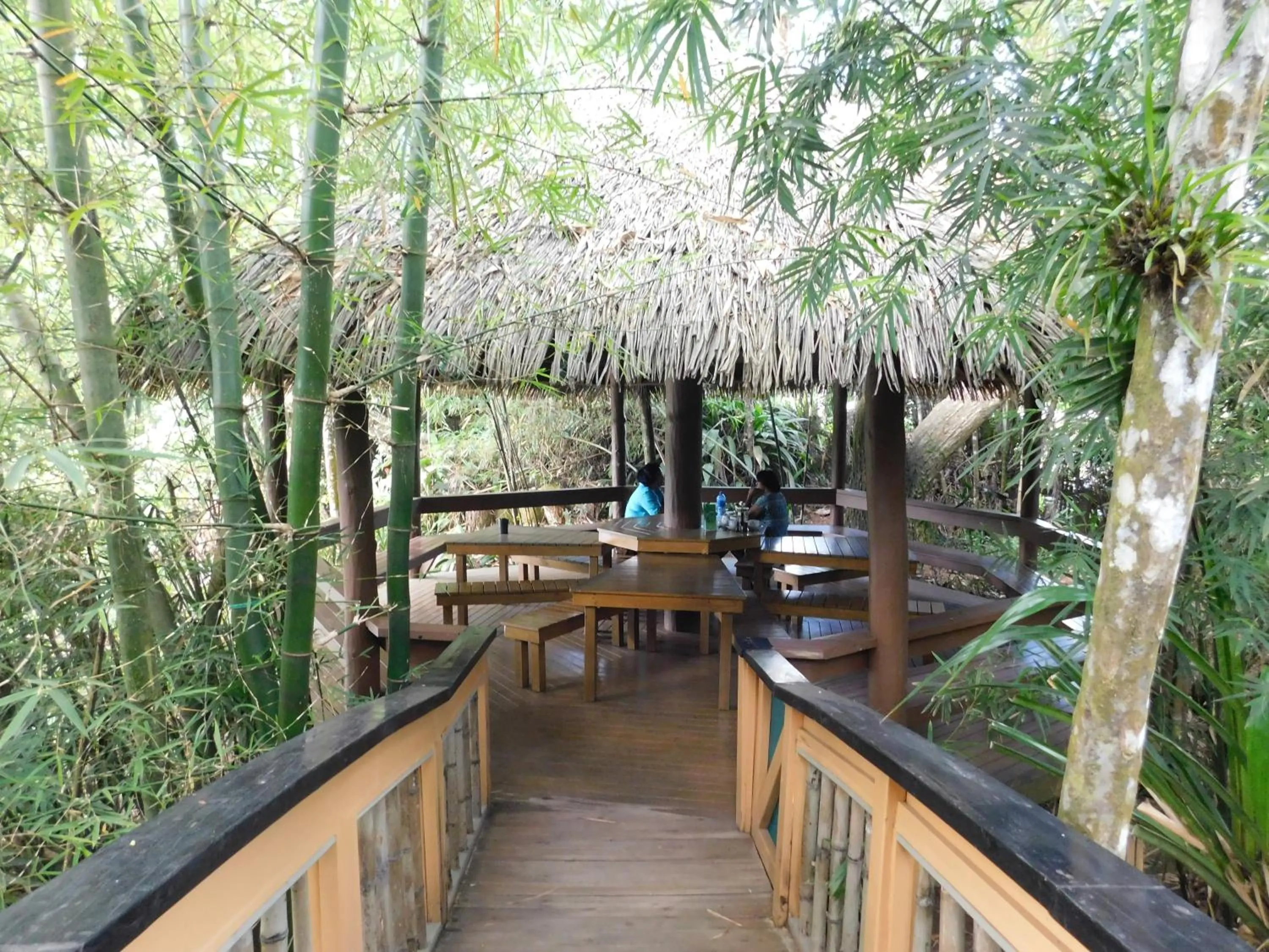 Restaurant/places to eat in Rainforest Eco Lodge