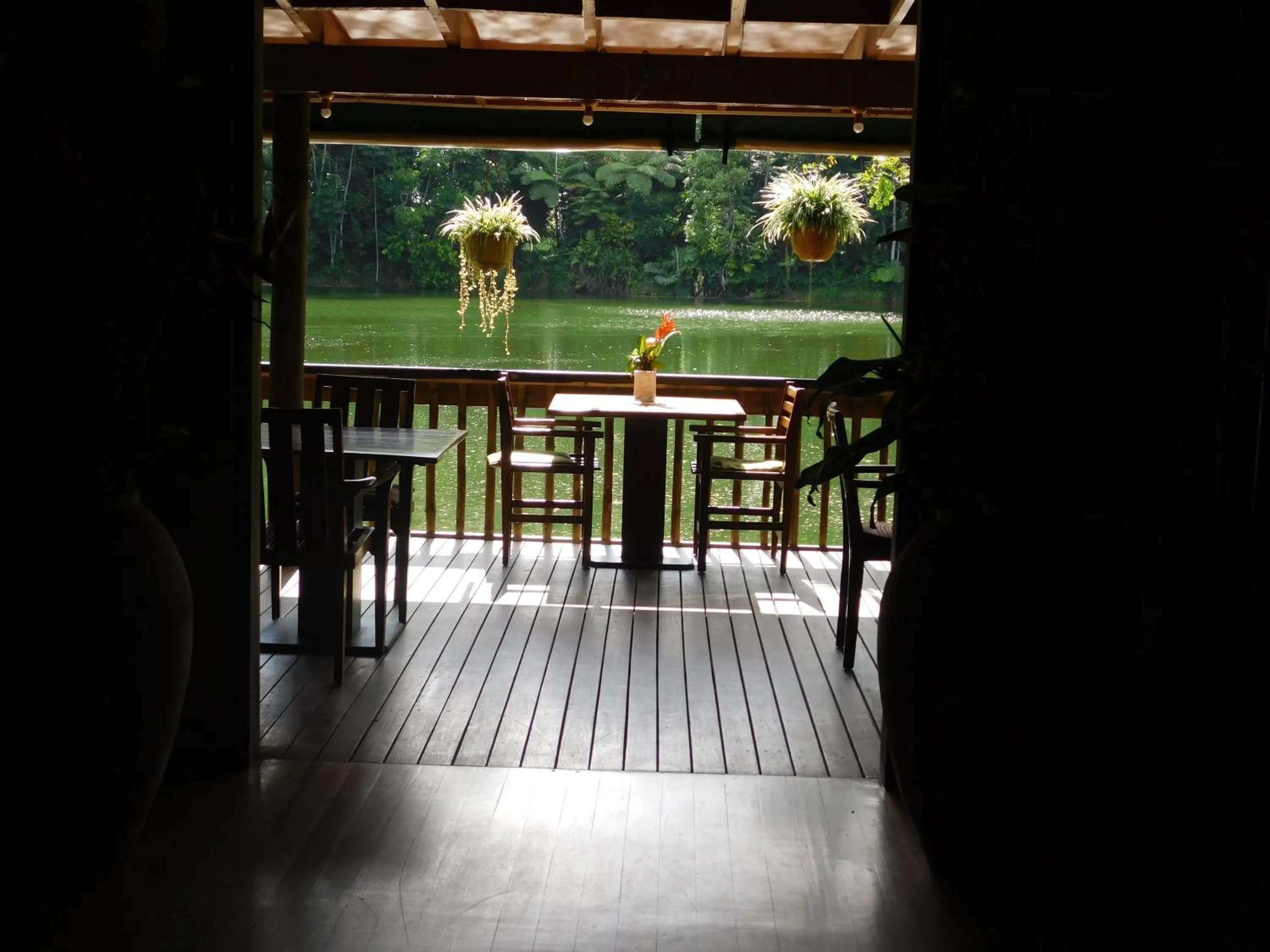 Restaurant/places to eat in Rainforest Eco Lodge