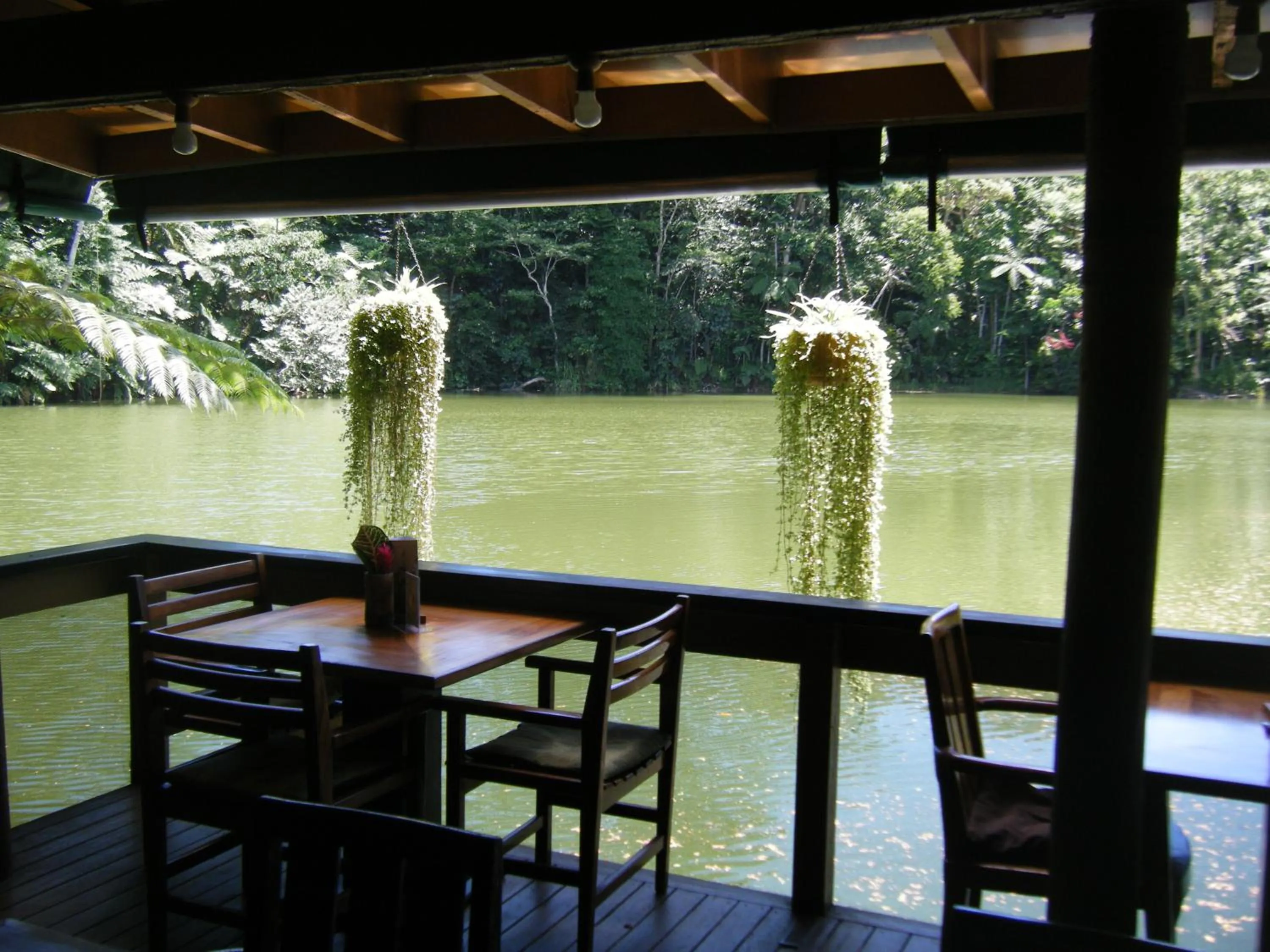 Restaurant/places to eat in Rainforest Eco Lodge