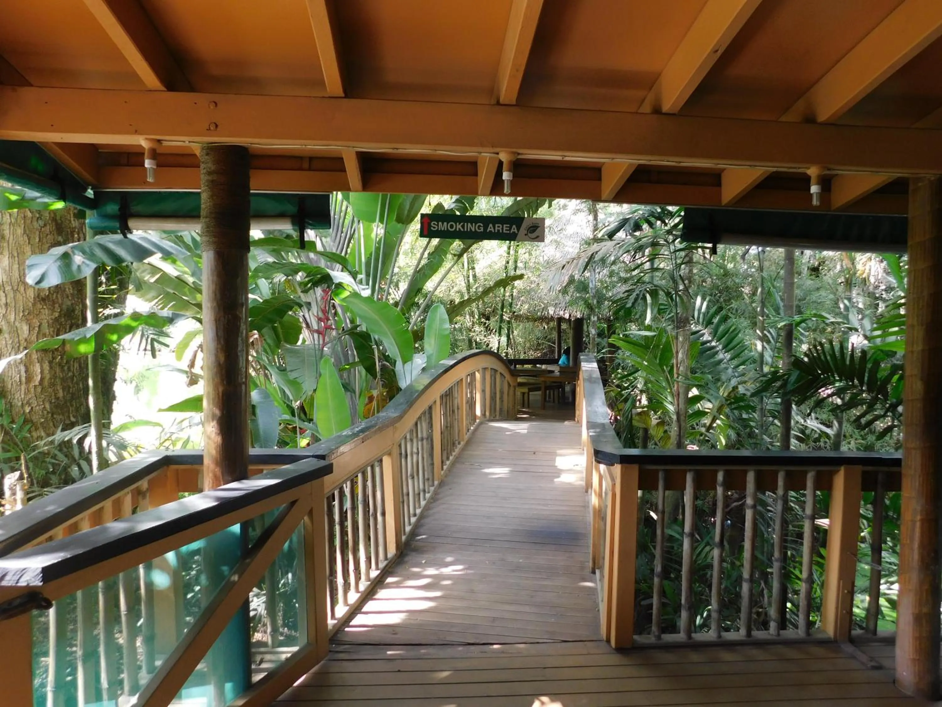 Restaurant/places to eat in Rainforest Eco Lodge