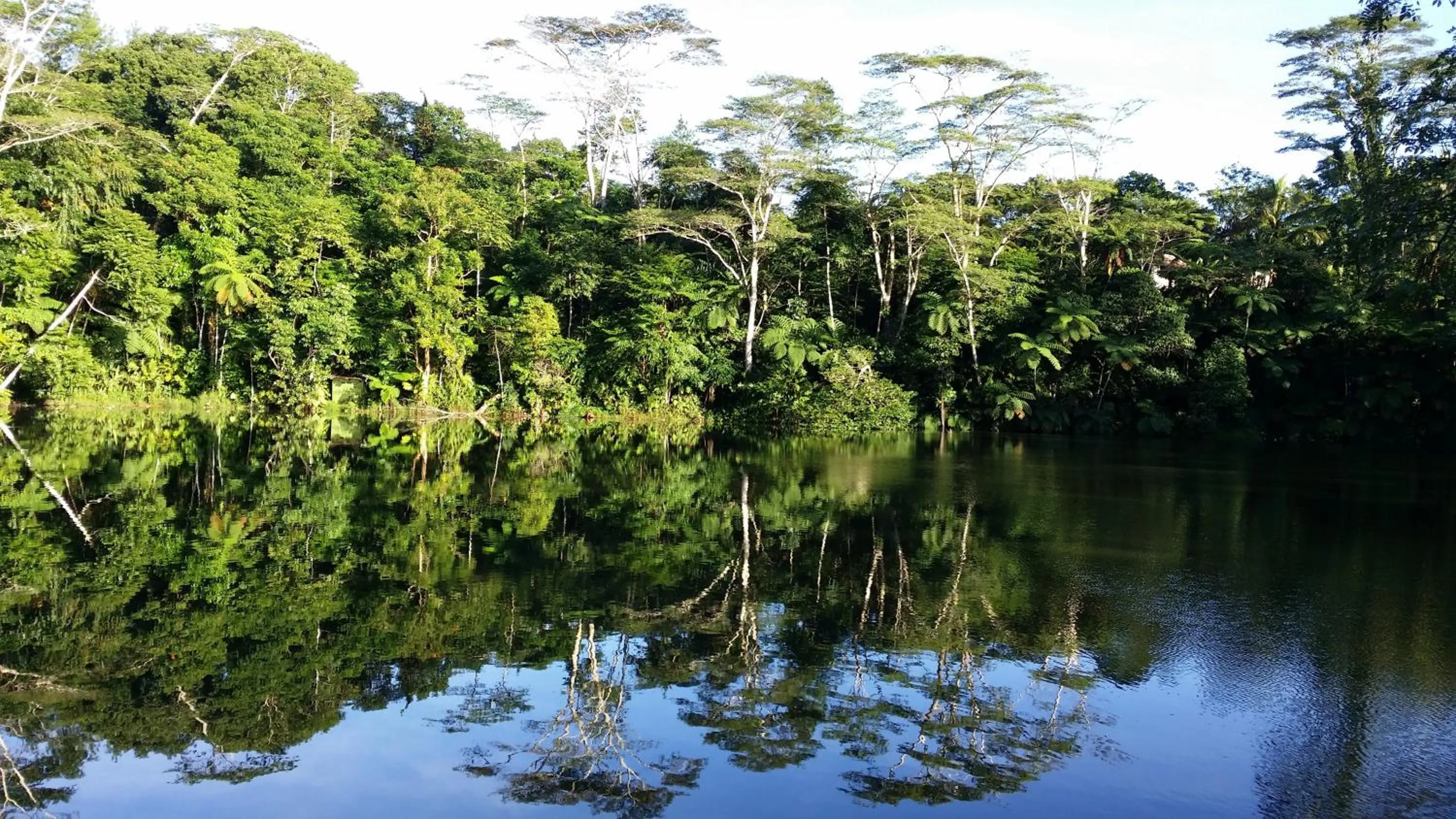 Lake view in Rainforest Eco Lodge