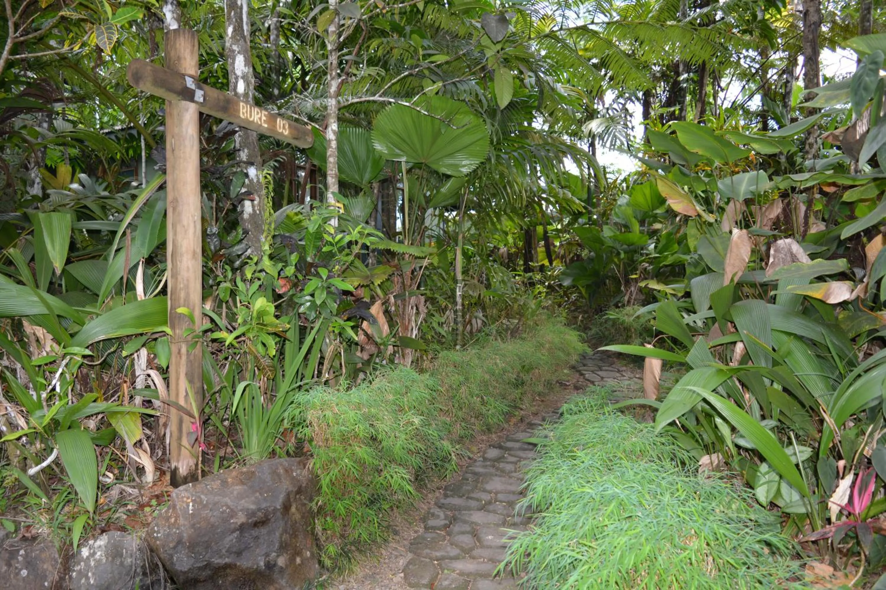 Facade/entrance in Rainforest Eco Lodge