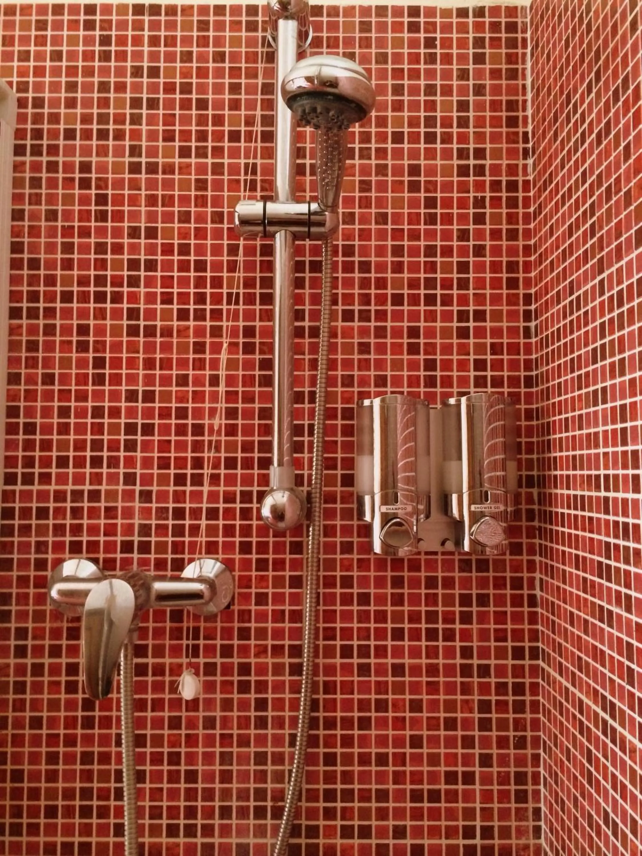 Shower in B&B Borgomarino