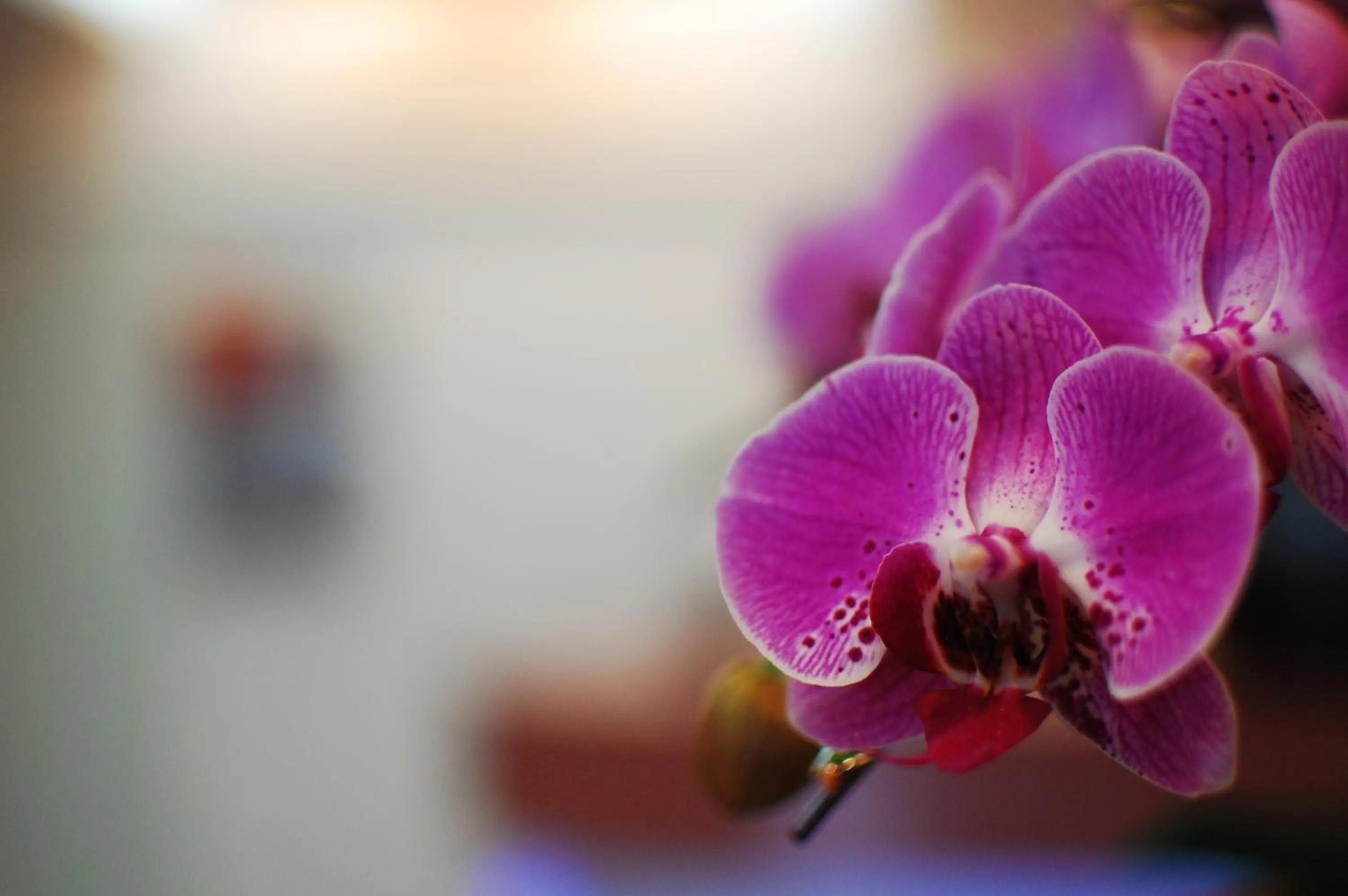 Lobby or reception in Yuh-Tarng Hotel