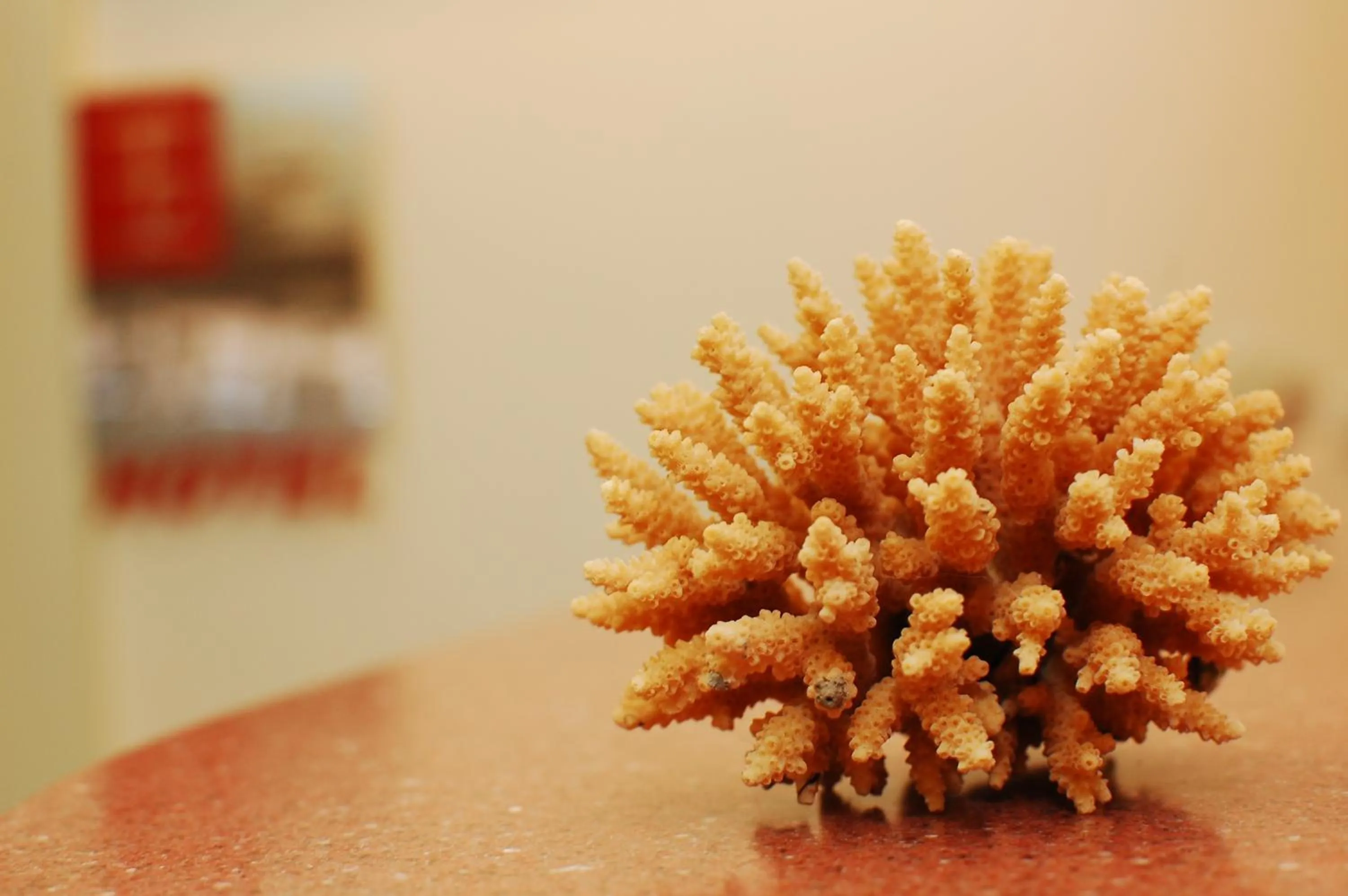 Lobby or reception in Yuh-Tarng Hotel