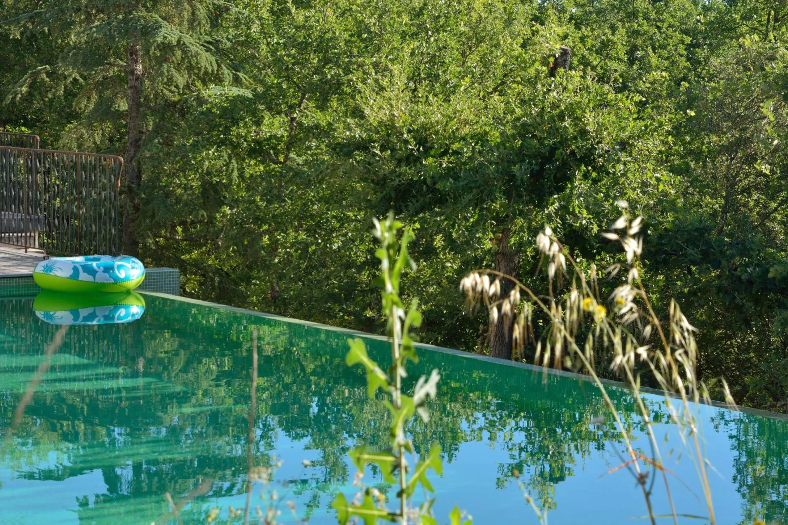 Sous les oliviers - Jacuzzi - Studios de standing tout-équipés