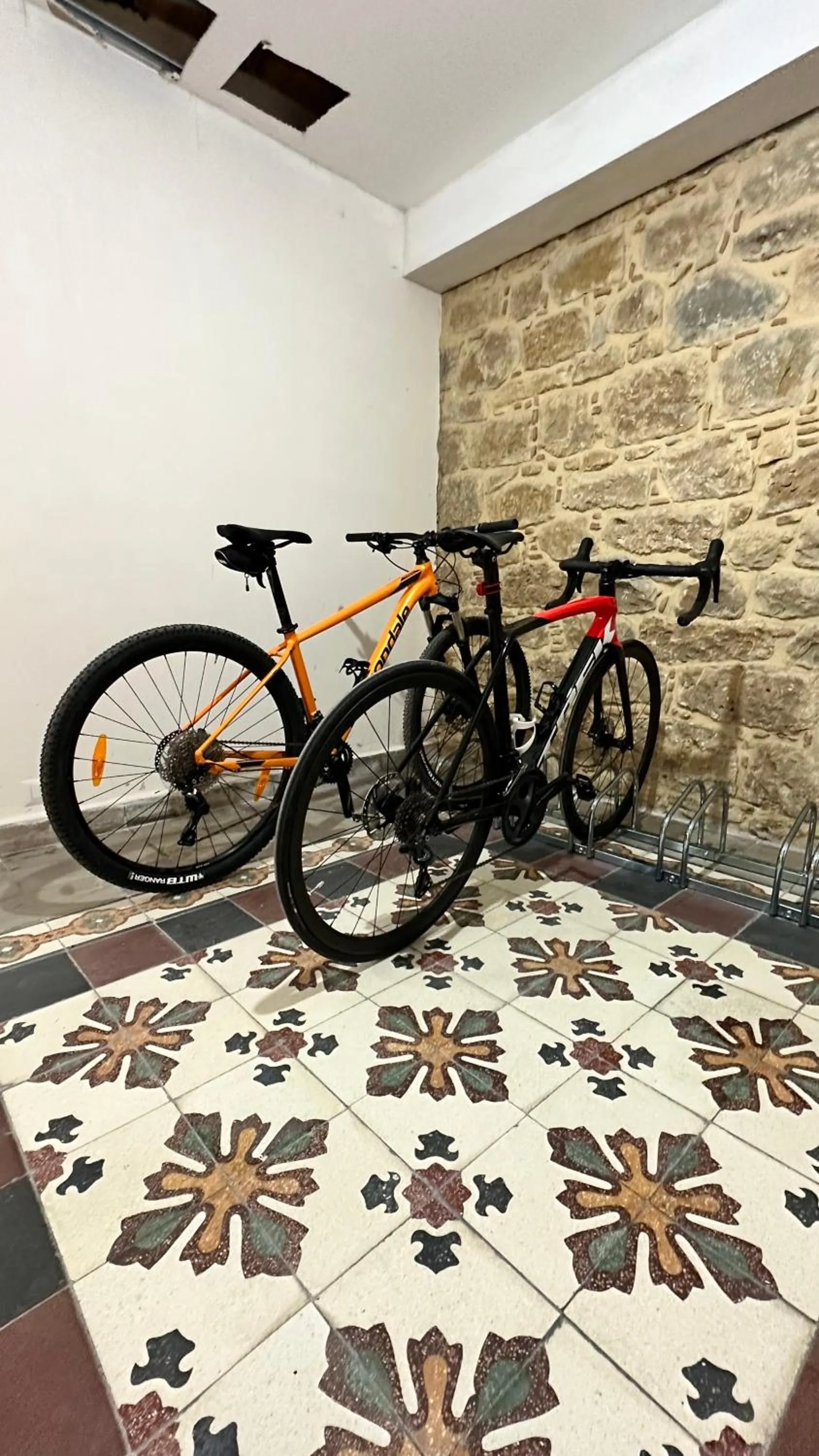 Cycling in B&B Diana