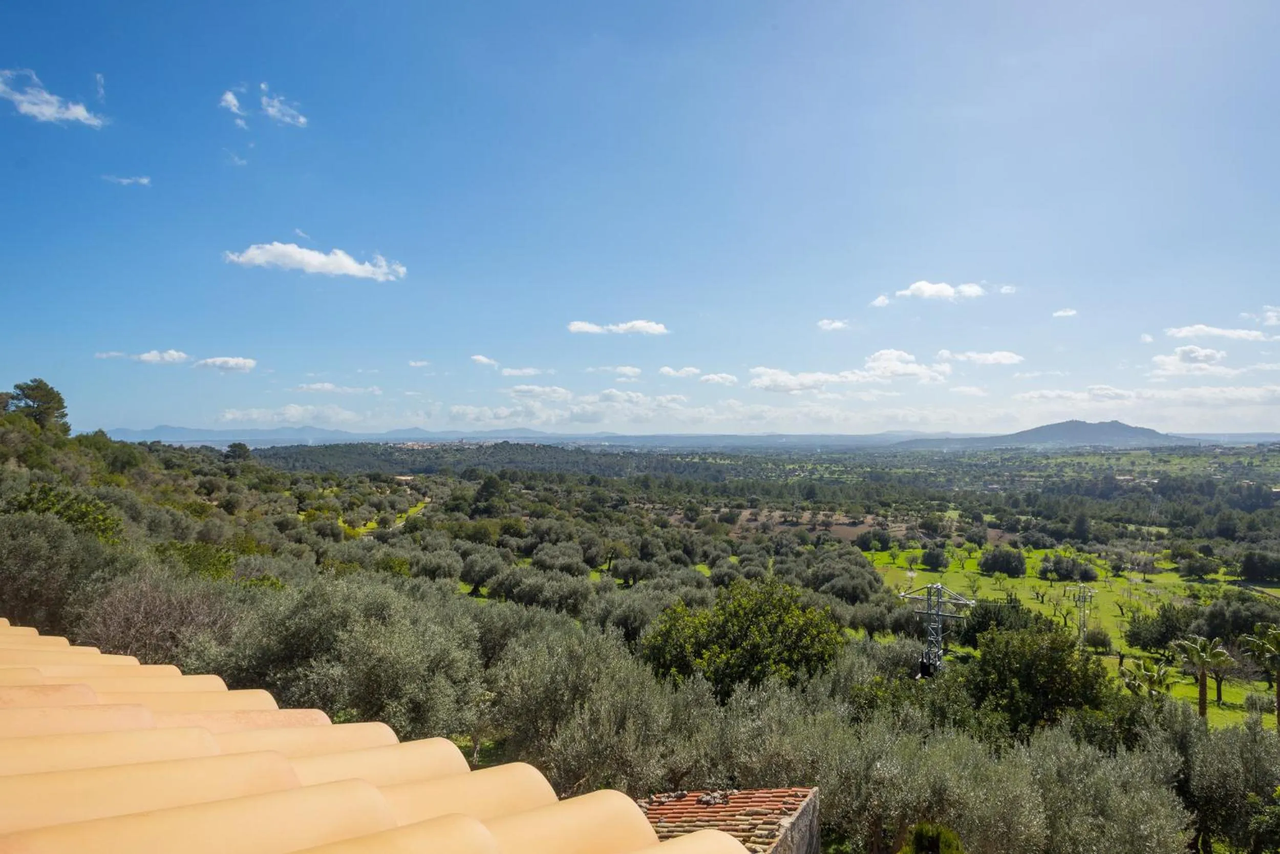 Natural landscape in Finca Es Castell