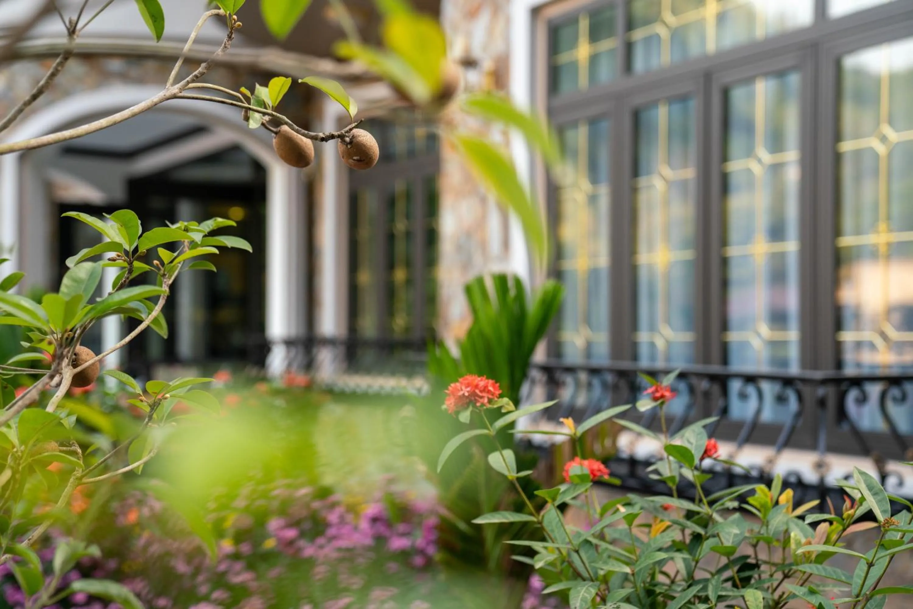 Spring in Indochine Boutique Hotel Ninh Bình