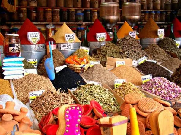 Area and facilities in Riad Zazz