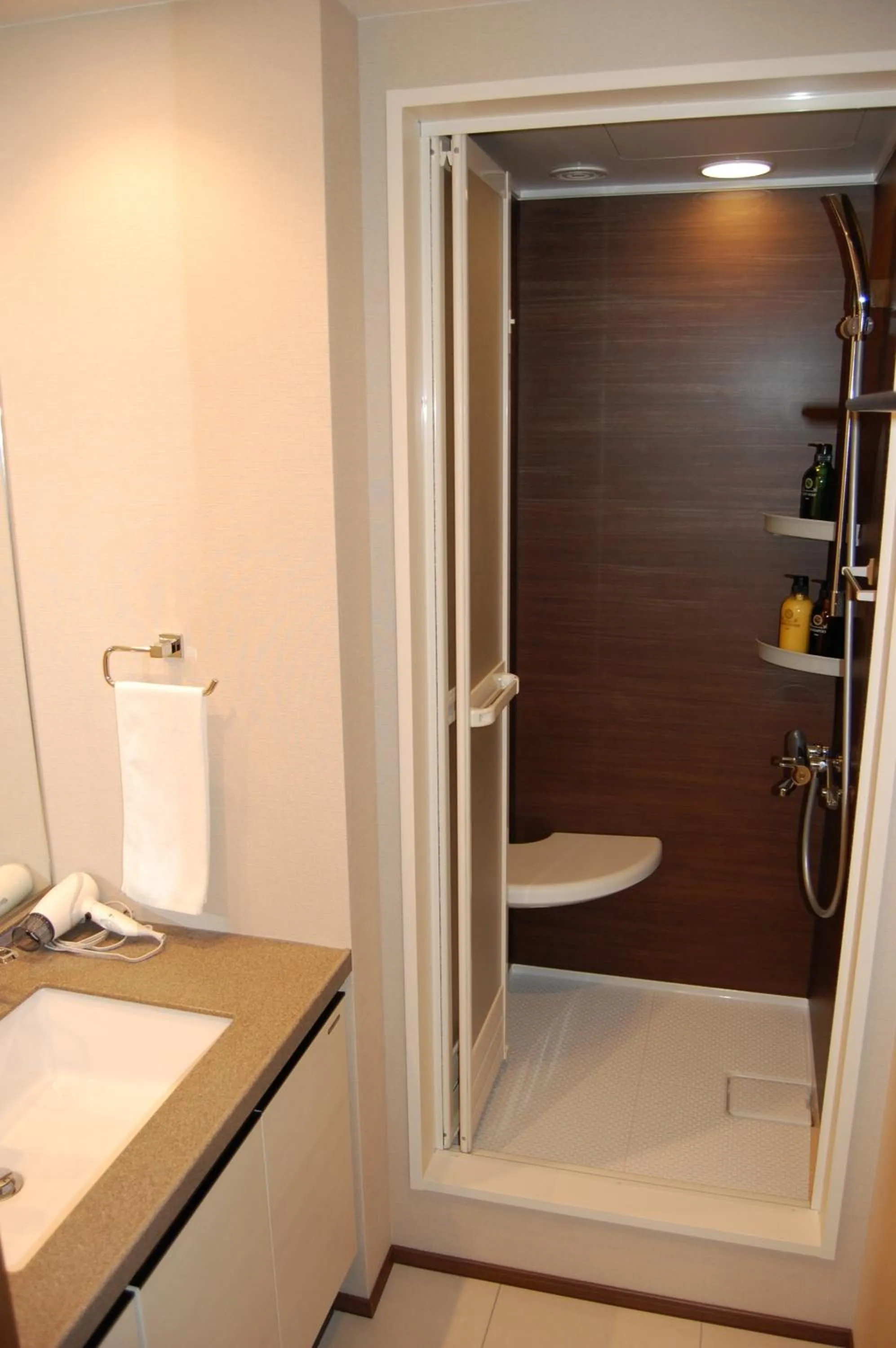 Shower in Hakuba Grand Apartments