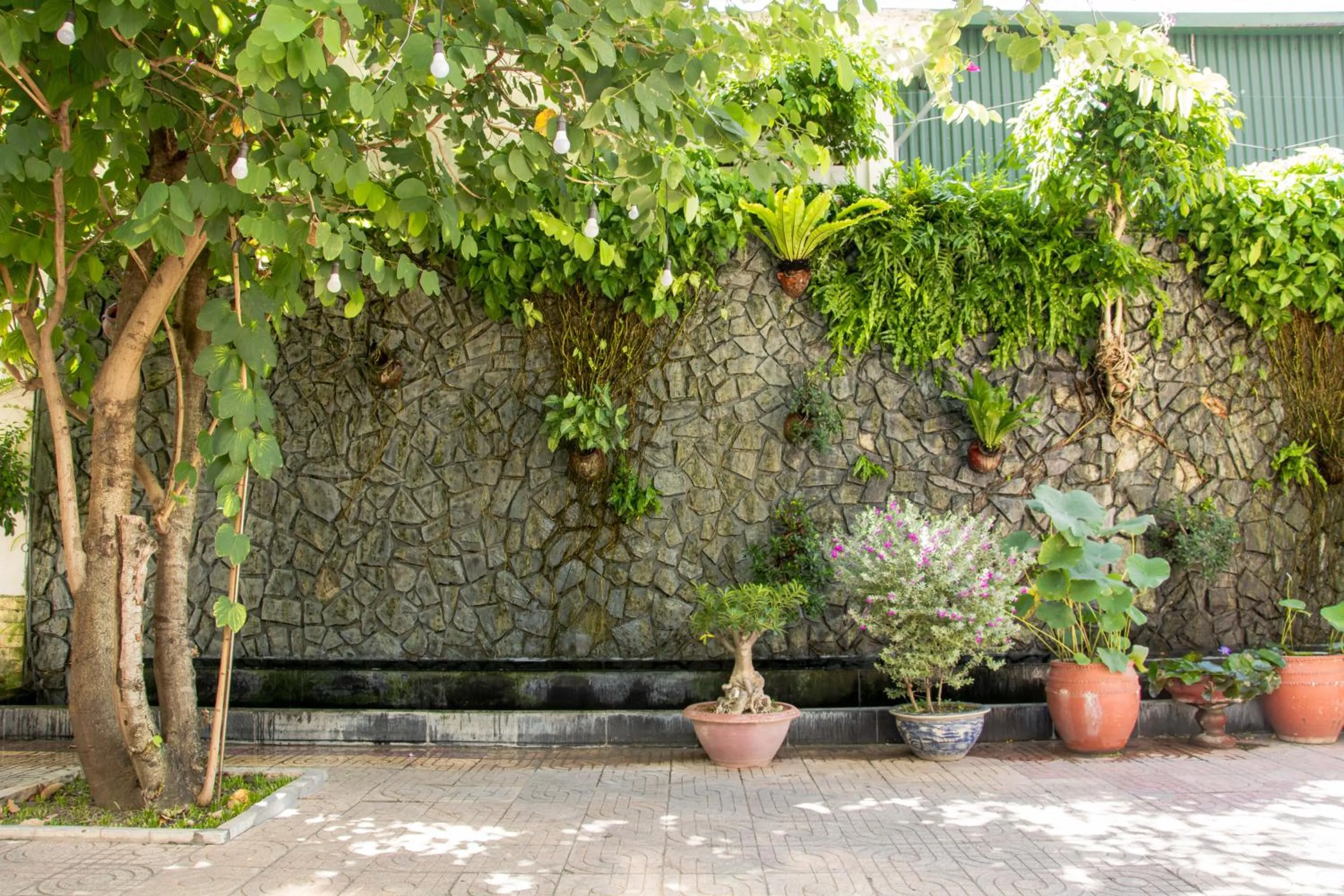 Garden in Angella Hotel