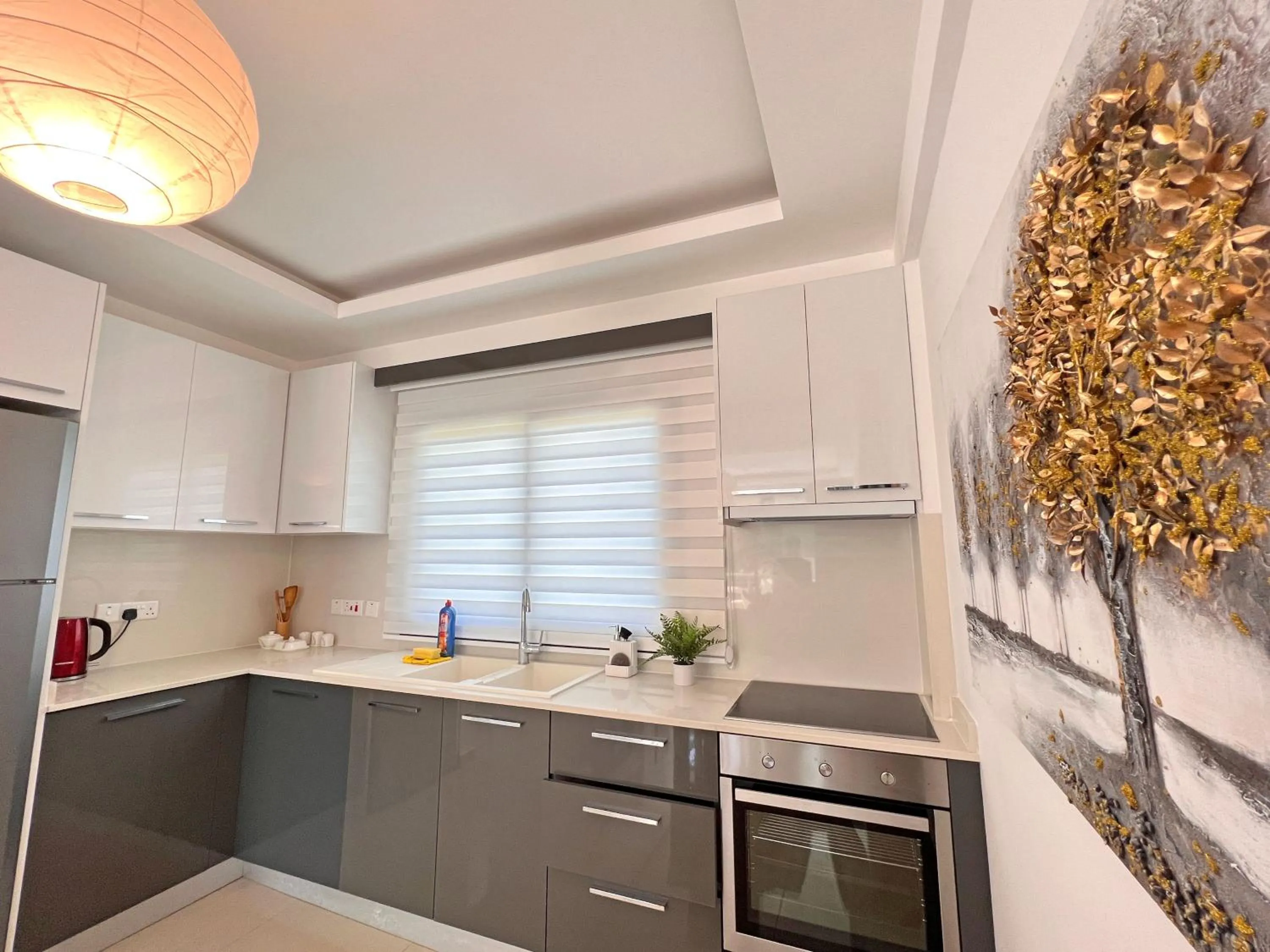 Kitchen or kitchenette in Skyline Paradise Villas