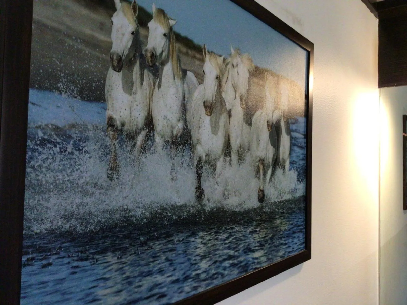 Natural landscape in IVY Studio