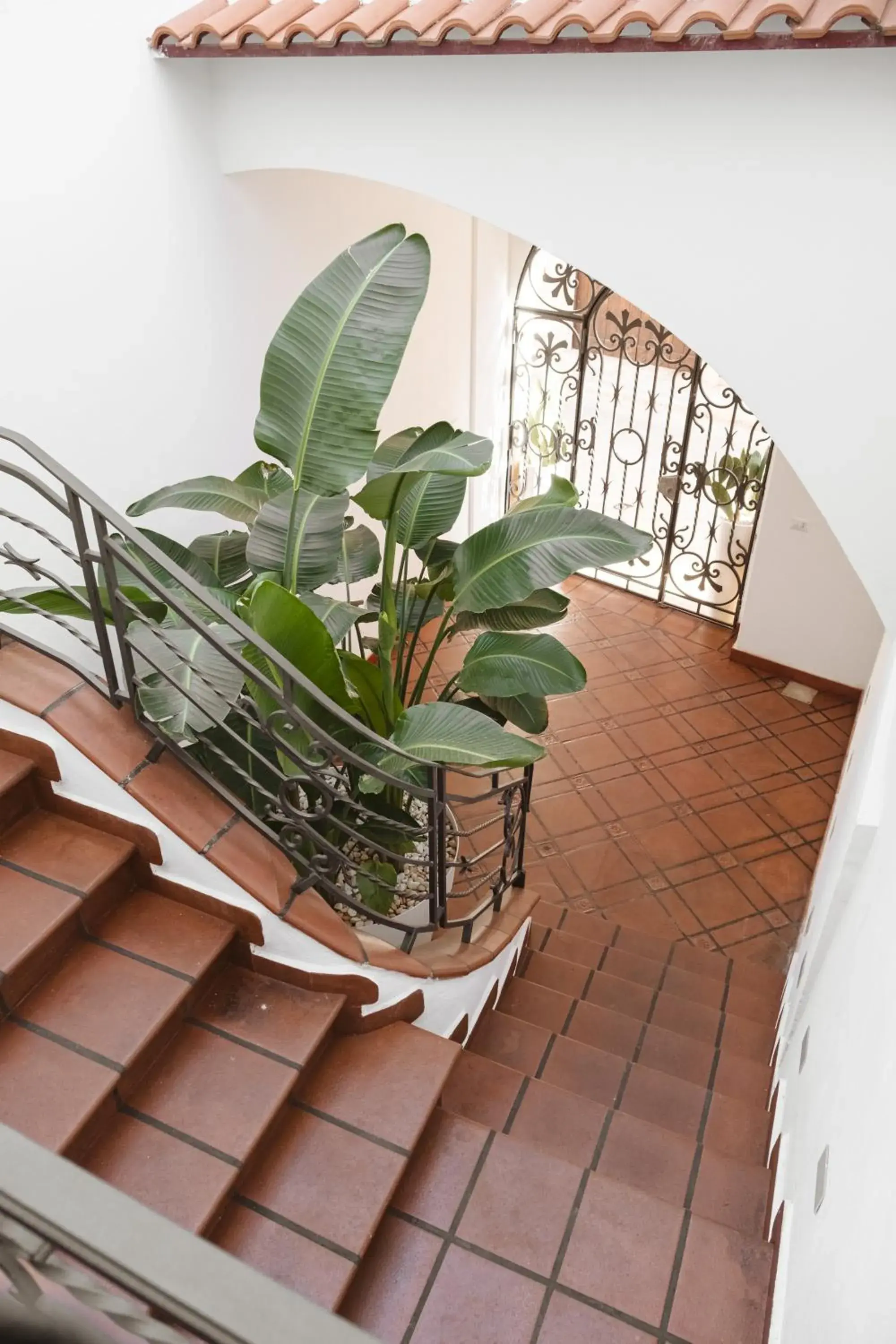 ALBERGO DIFFUSO Dimora Rossi Charme B&B ALBERGO DIFFUSO Dimora Rossi Charme B&B