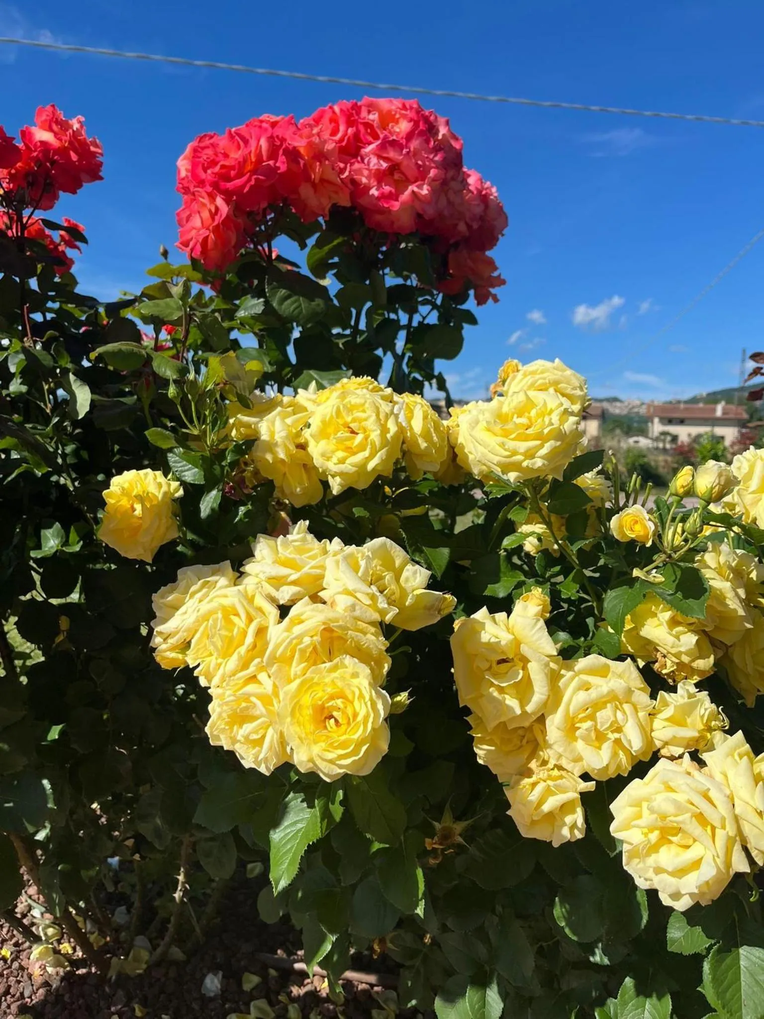 Garden in Luci di Assisi B&B Wellness