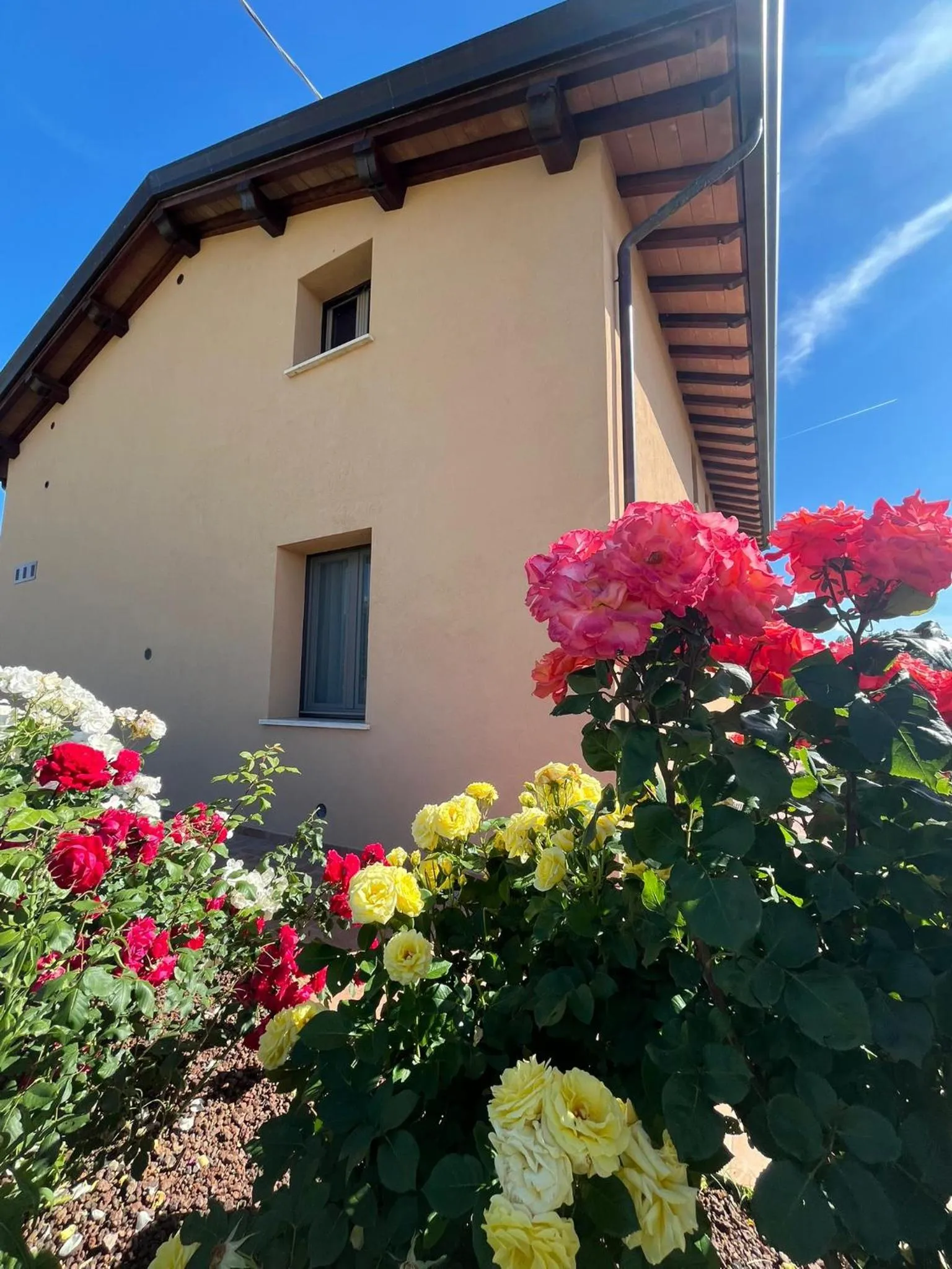 Garden in Luci di Assisi B&B Wellness
