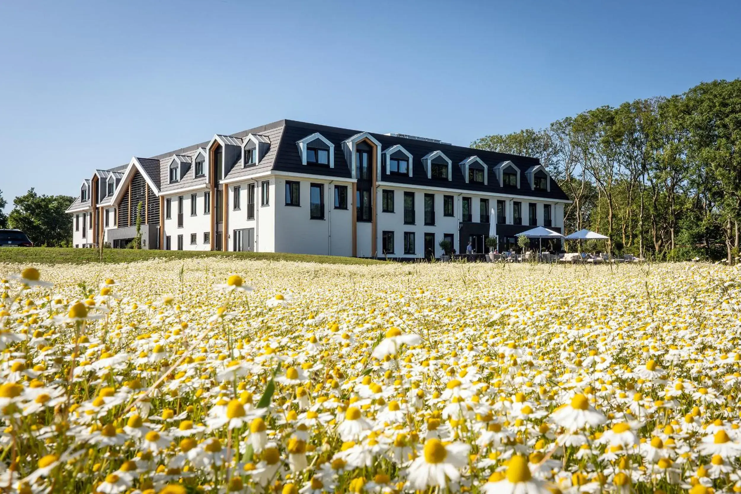 Eilandhotel Texel - Nieuw geopend hotel Eilandhotel Texel - Nieuw geopend hotel