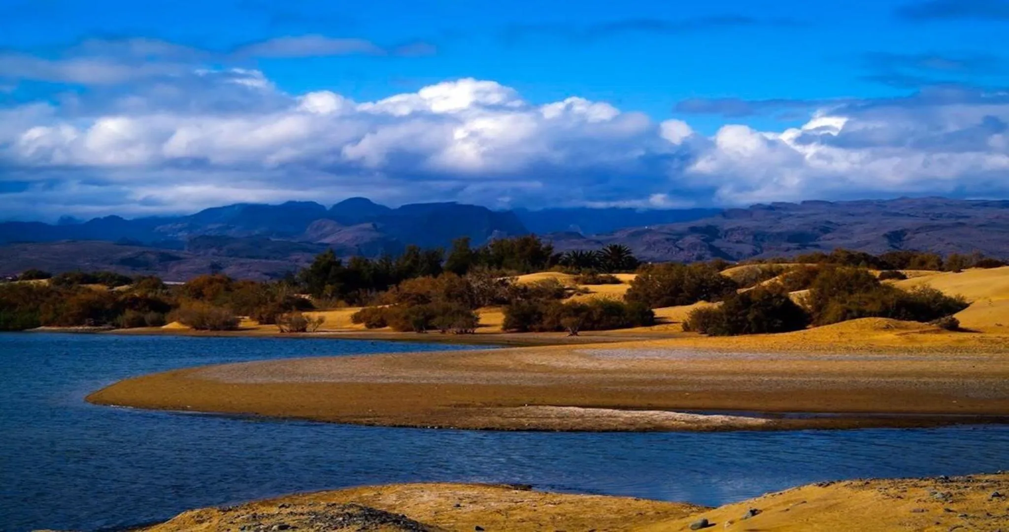 Natural landscape in Dunaoasis Maspalomas